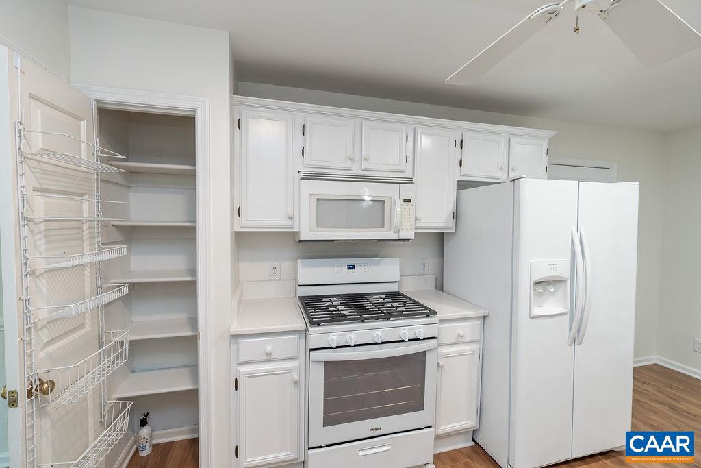 LAKE REYNOVIA - Residential