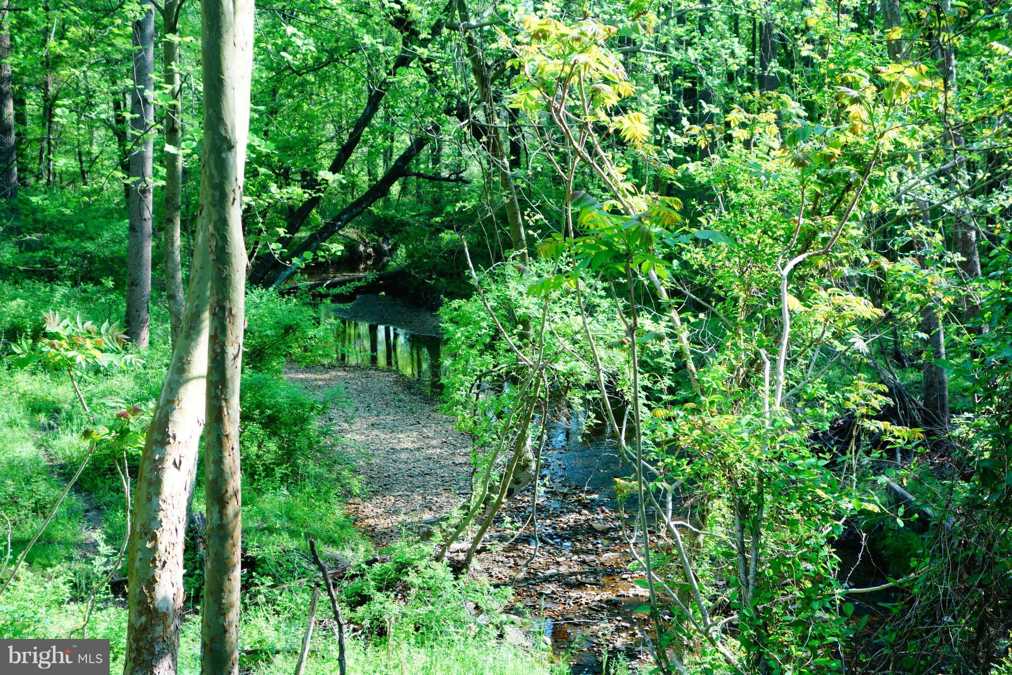 PINEDALE - Residential