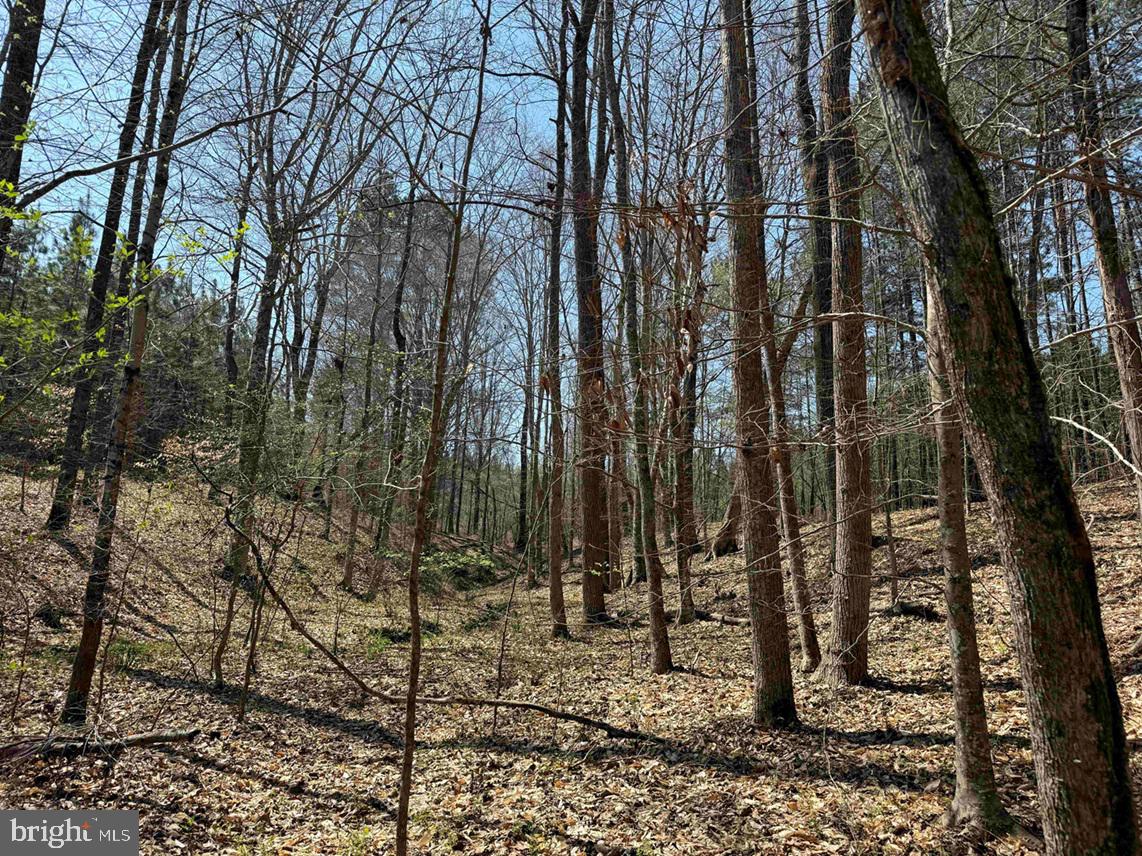 DABNEY HOUSE ROAD (TRACT: PITTSYLVANIA COMPTON-3)