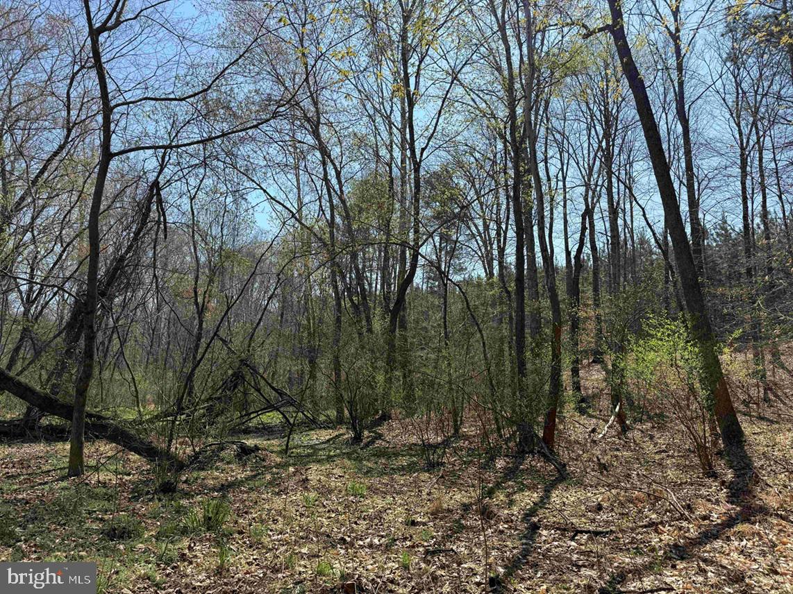 DABNEY HOUSE ROAD (TRACT: PITTSYLVANIA COMPTON-3)
