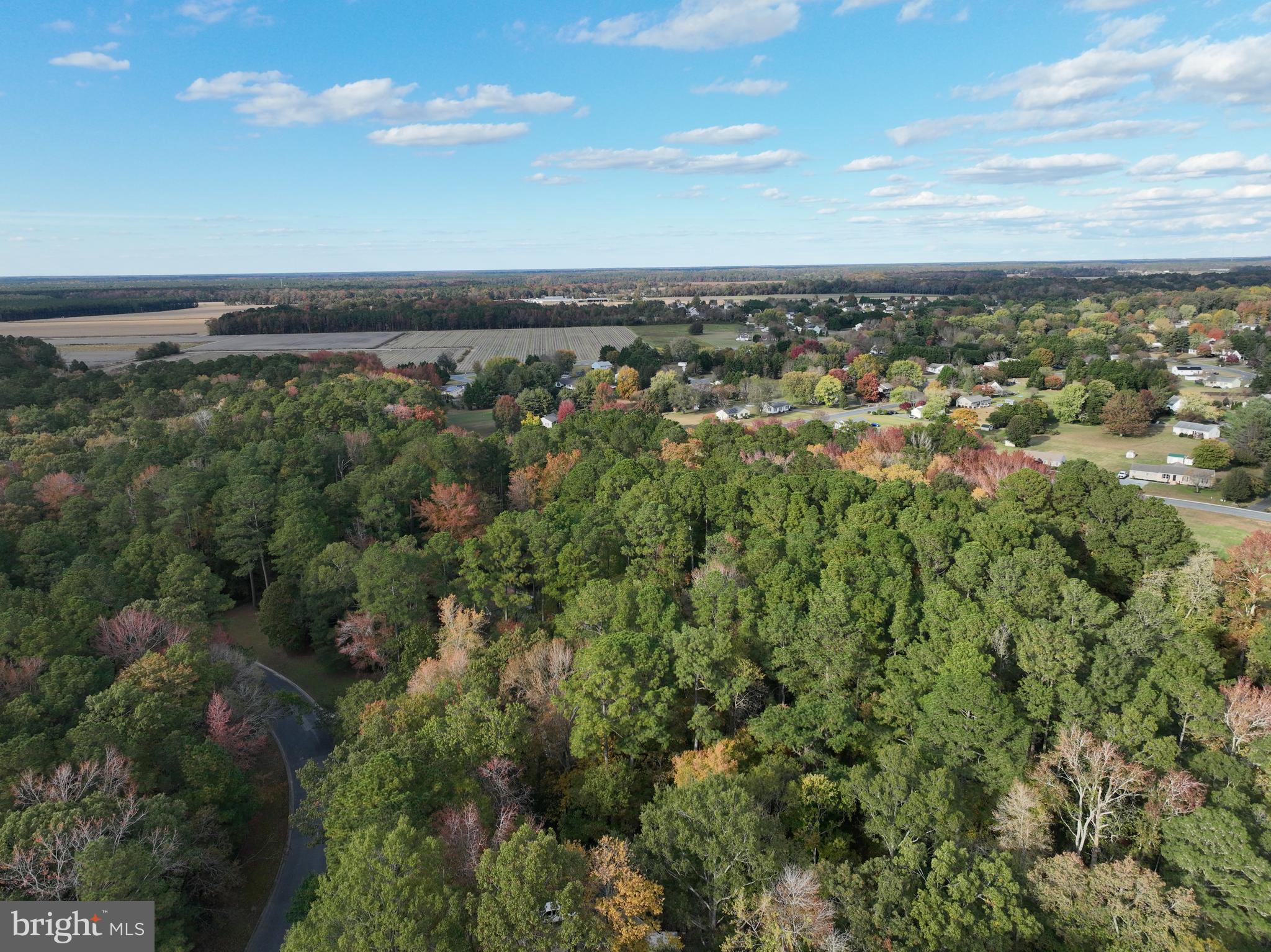 HUNTERS MILL - Residential