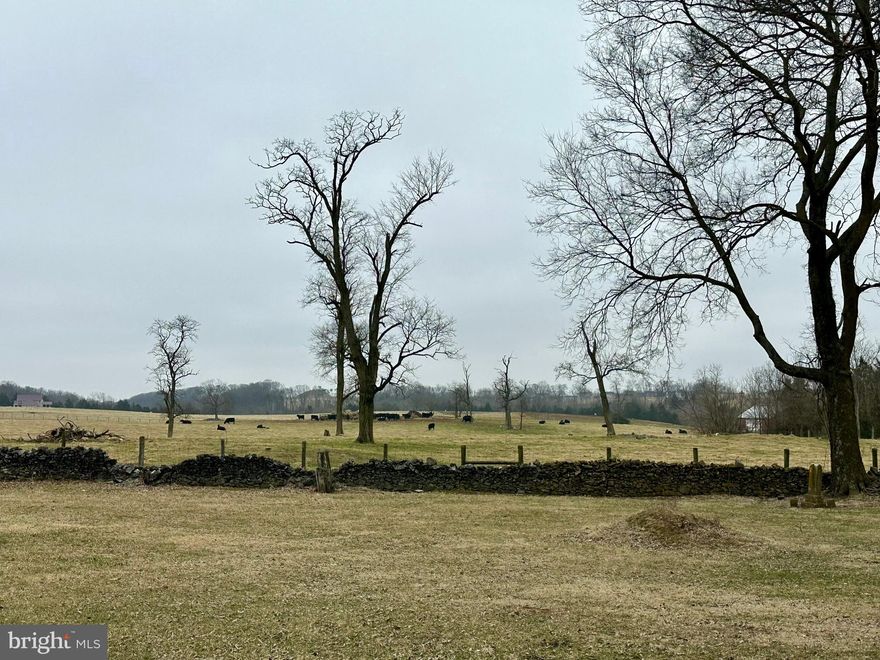 Looking for the perfect spot to build your dream home or an investment property? This spacious 0.43-acre lot is ideally situated on Winchester Ave (Route 11) in Darkesville, offering easy access to I-81 for a quick commute to Martinsburg or Winchester. Enjoy picturesque views of the scenic farmland behind the property. Plus, public water and sewer are available! Don't miss this prime opportunity!