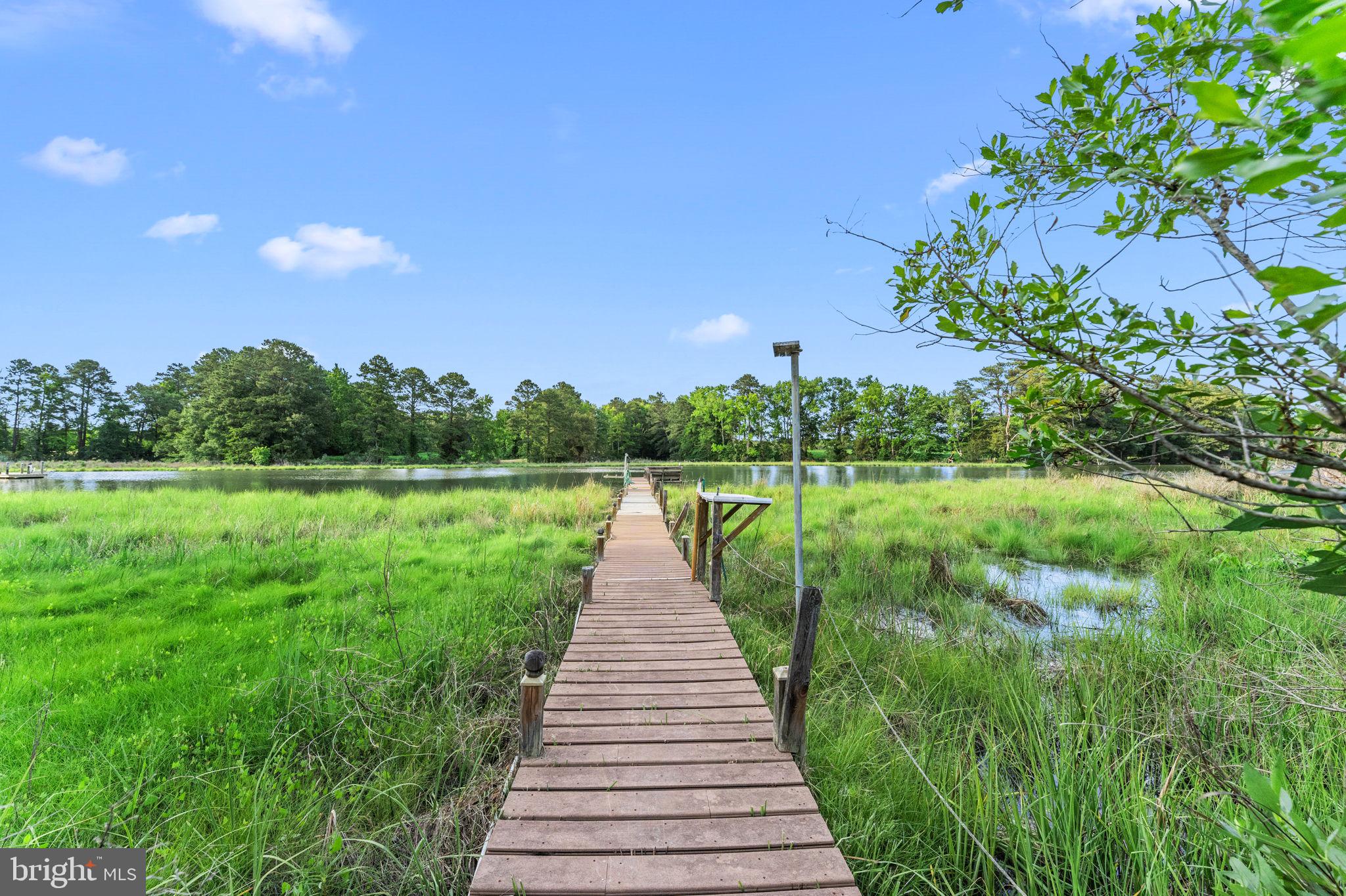 157 MORATTICO CREEK ROAD - Photo 3