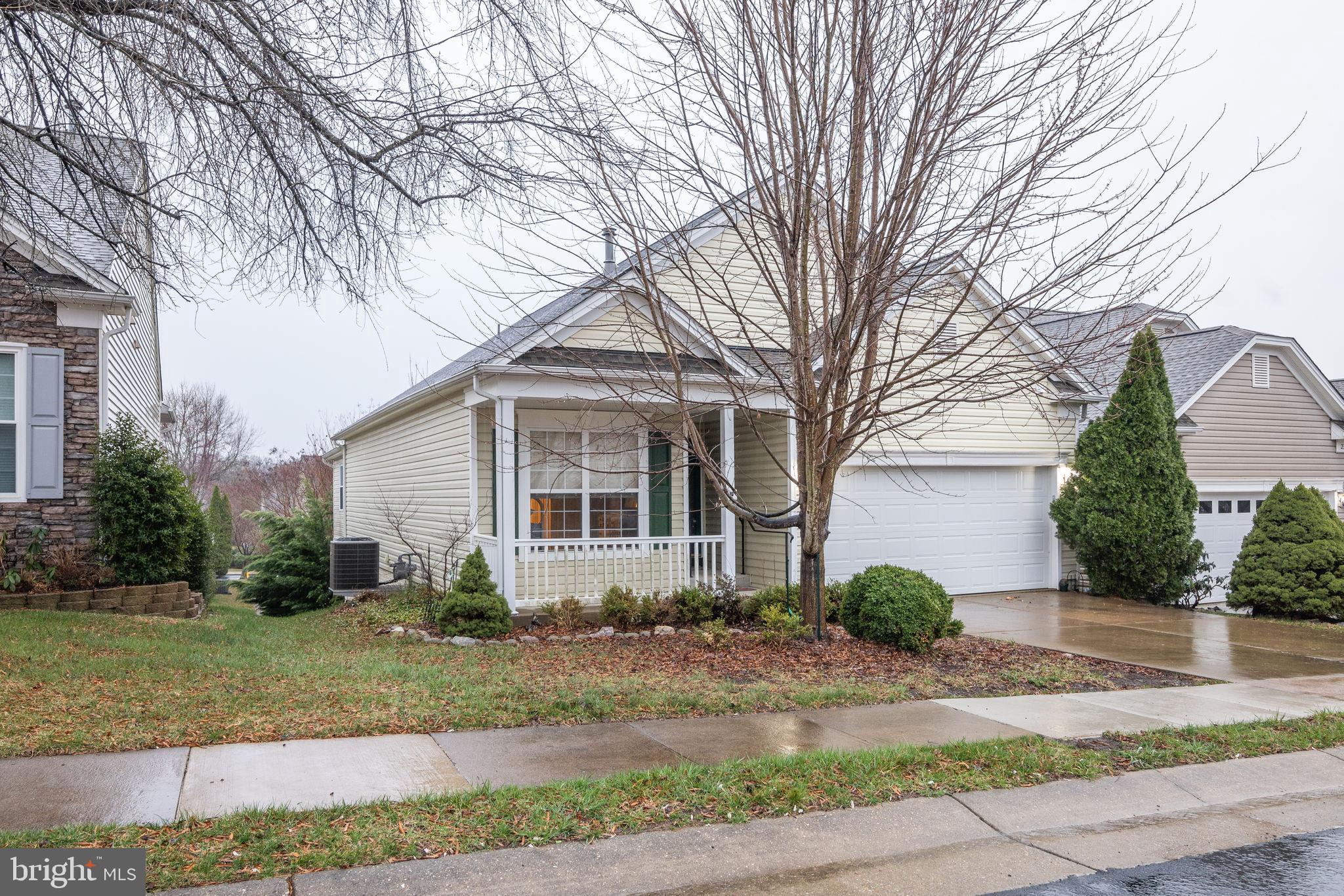 21 BUCHANAN COURT