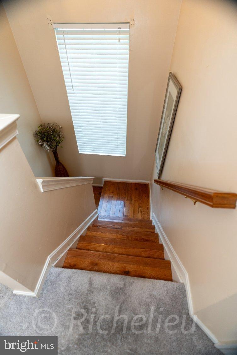 MARLBORO MEADOWS - Residential