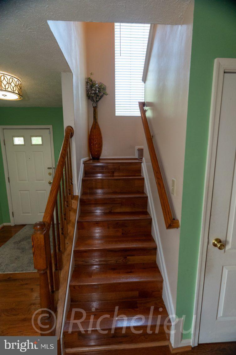 MARLBORO MEADOWS - Residential