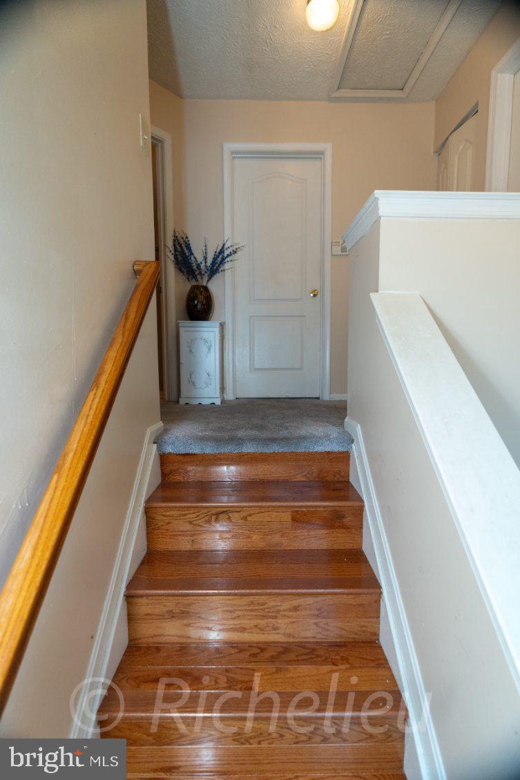 MARLBORO MEADOWS - Residential