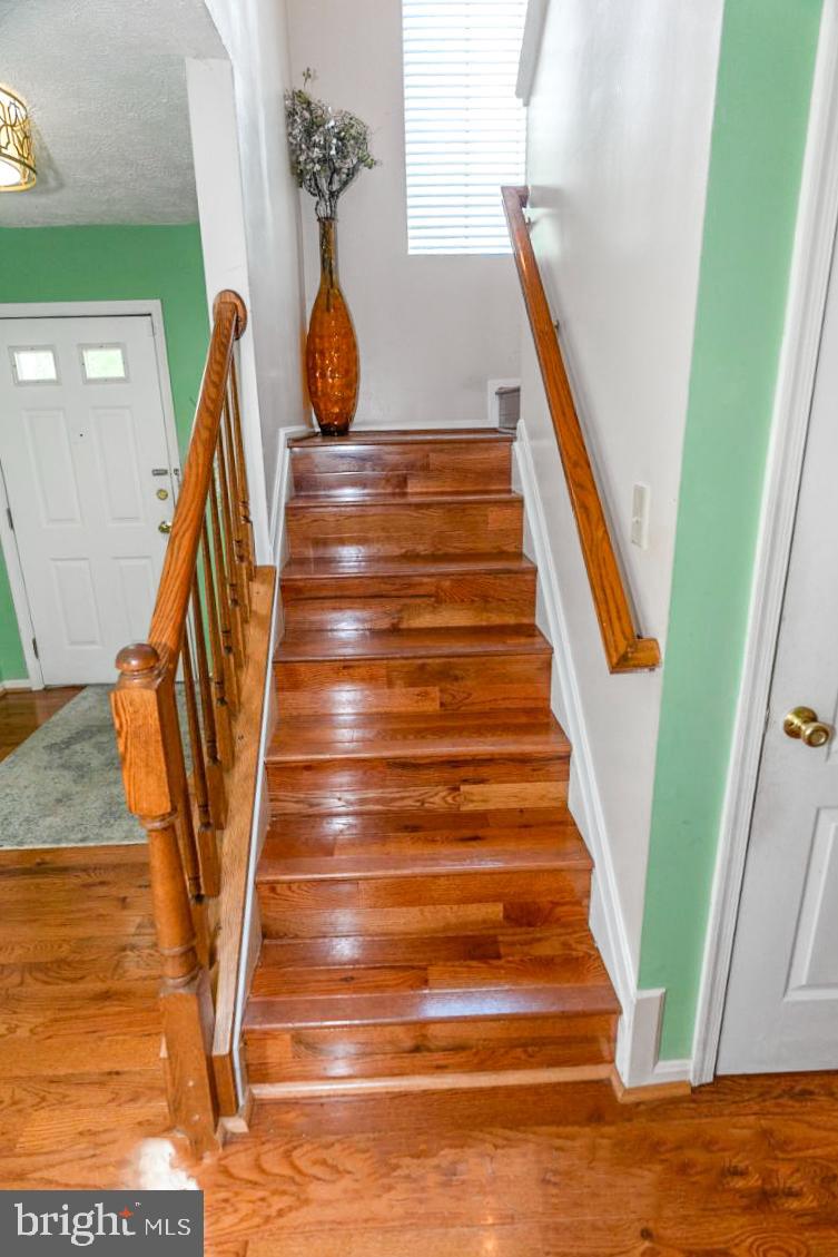 MARLBORO MEADOWS - Residential