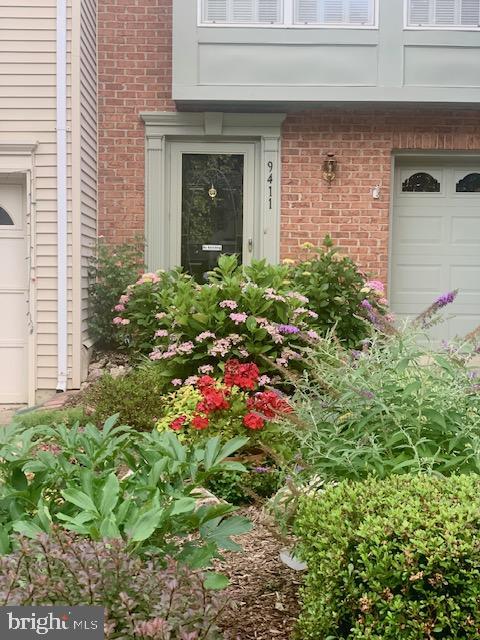 BELMONT STATION - Residential