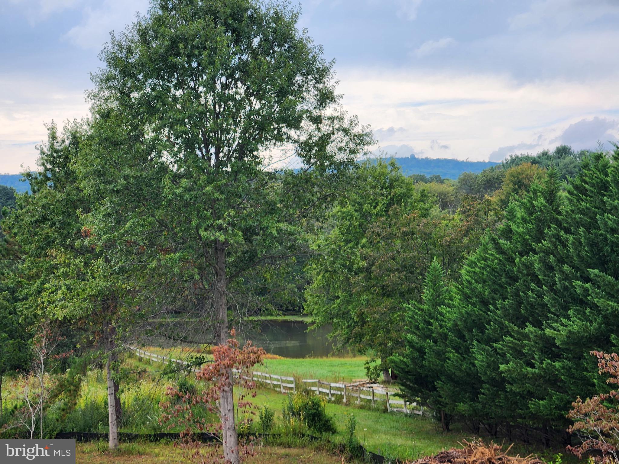 4410 DOGWOOD TREE COURT