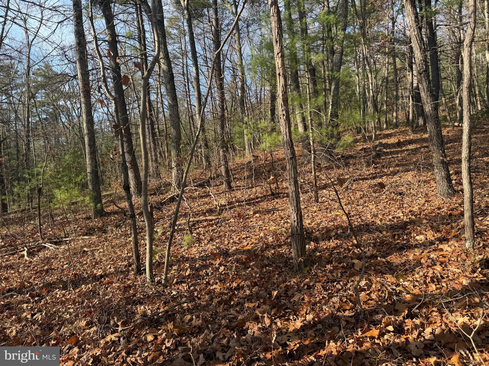 5 COOPER MOUNTAIN VIEW