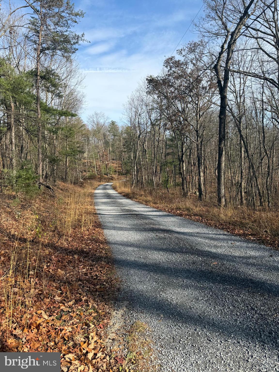 5 COOPER MOUNTAIN VIEW