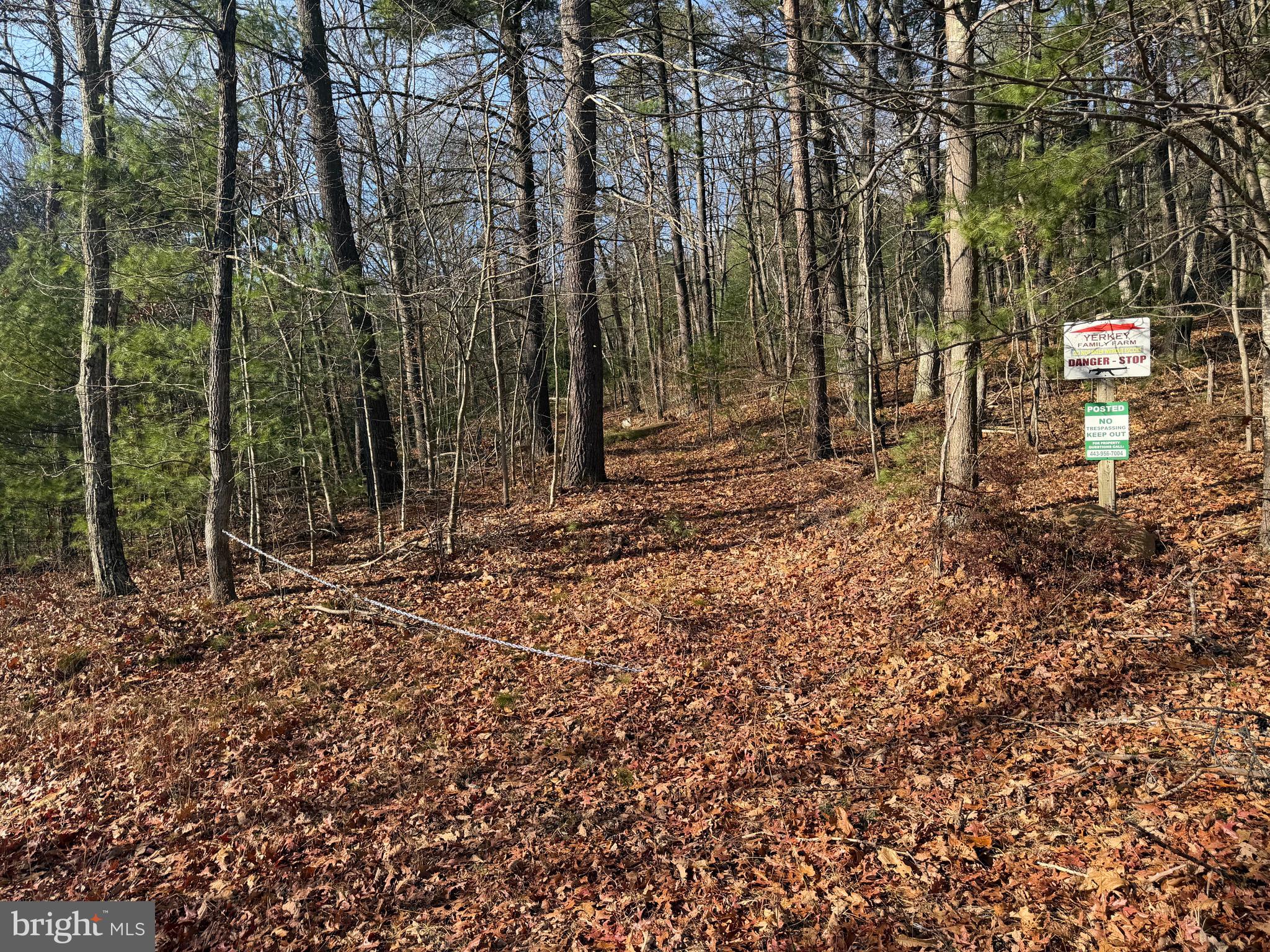 5 COOPER MOUNTAIN VIEW