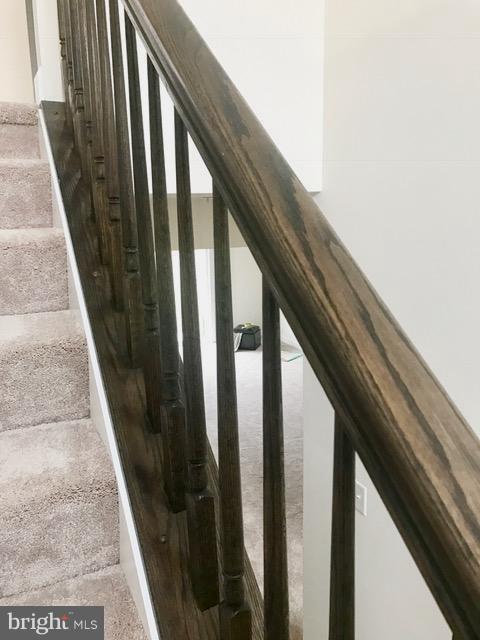 ARUNDEL GARDENS - Residential