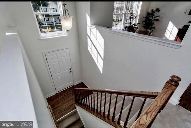 ARUNDEL GARDENS - Residential