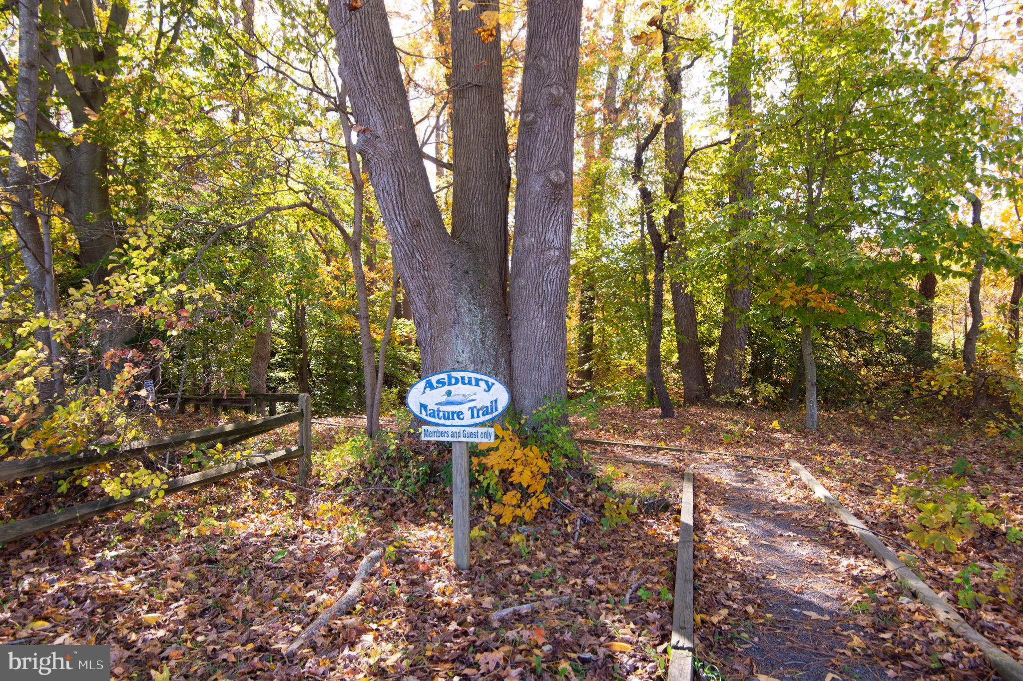ASBURY - Residential