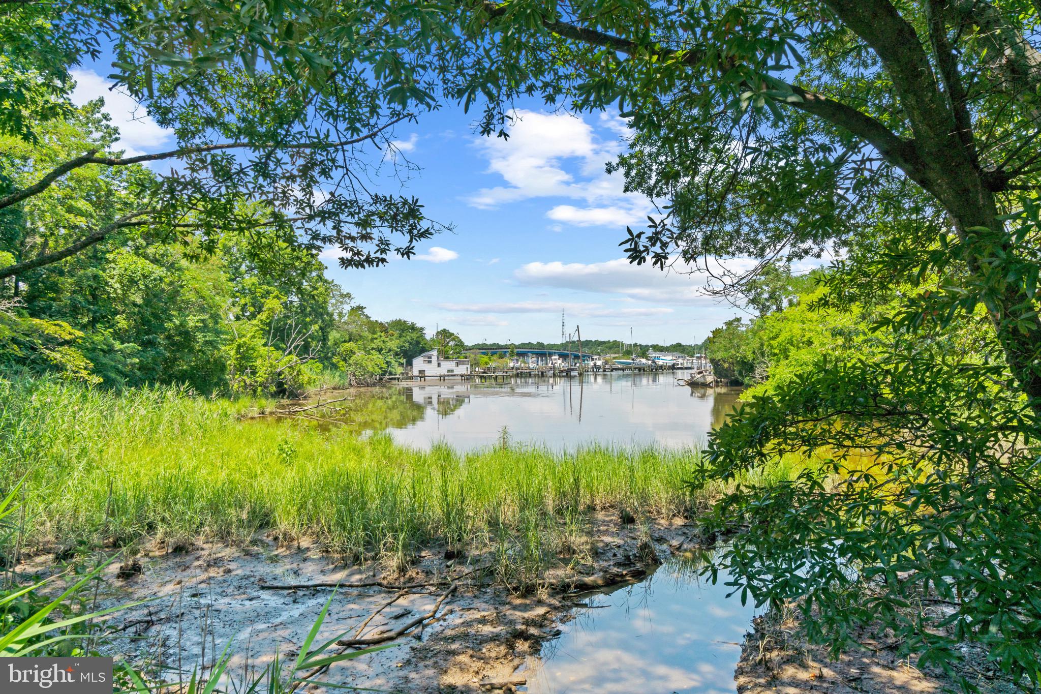 COBB ISLAND - Residential