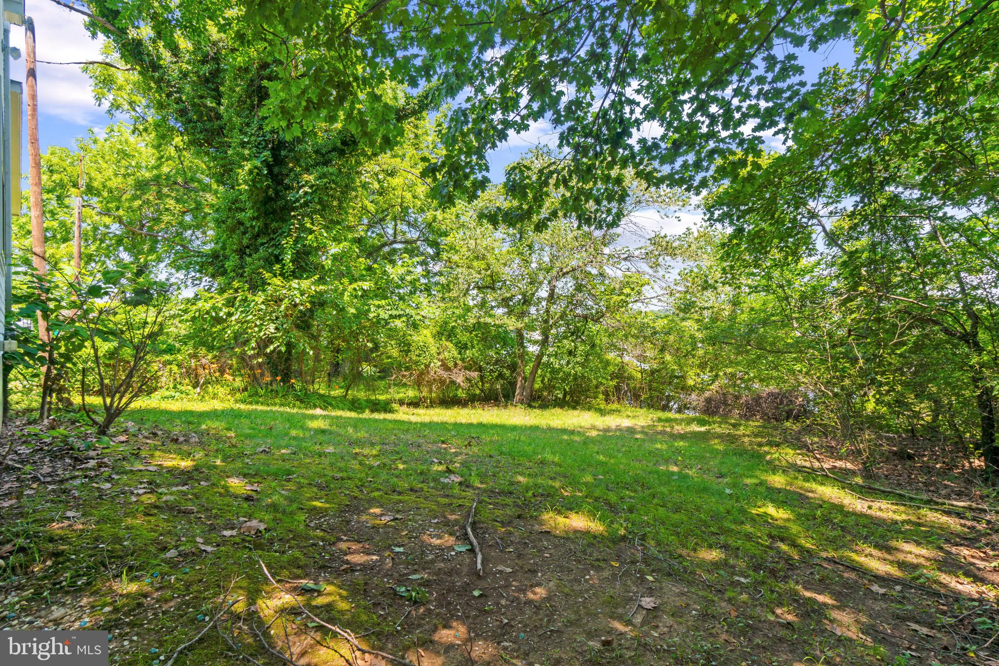 COBB ISLAND - Residential