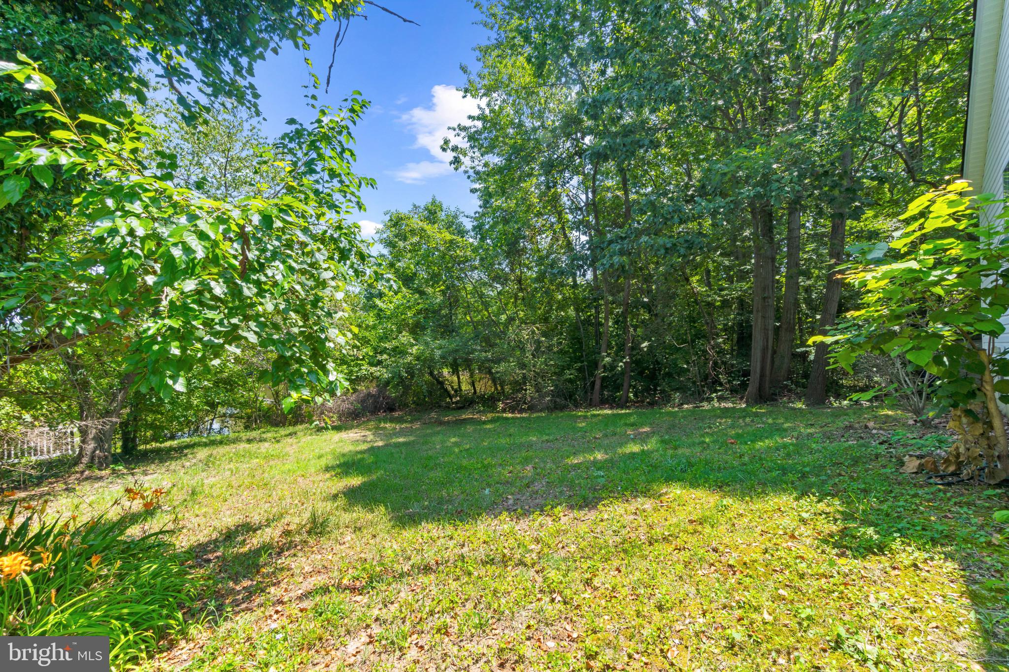 COBB ISLAND - Residential