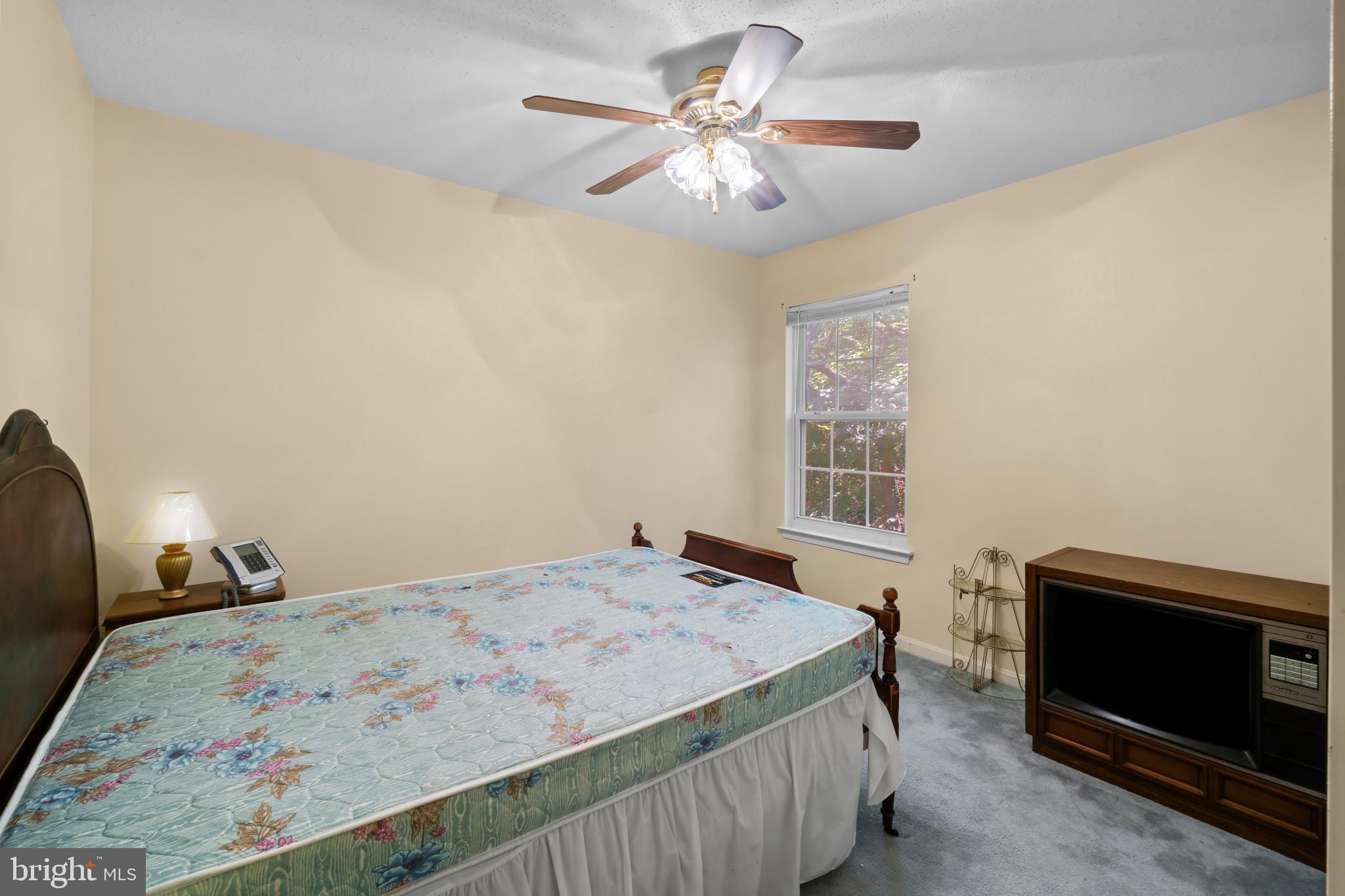 COBB ISLAND - Residential