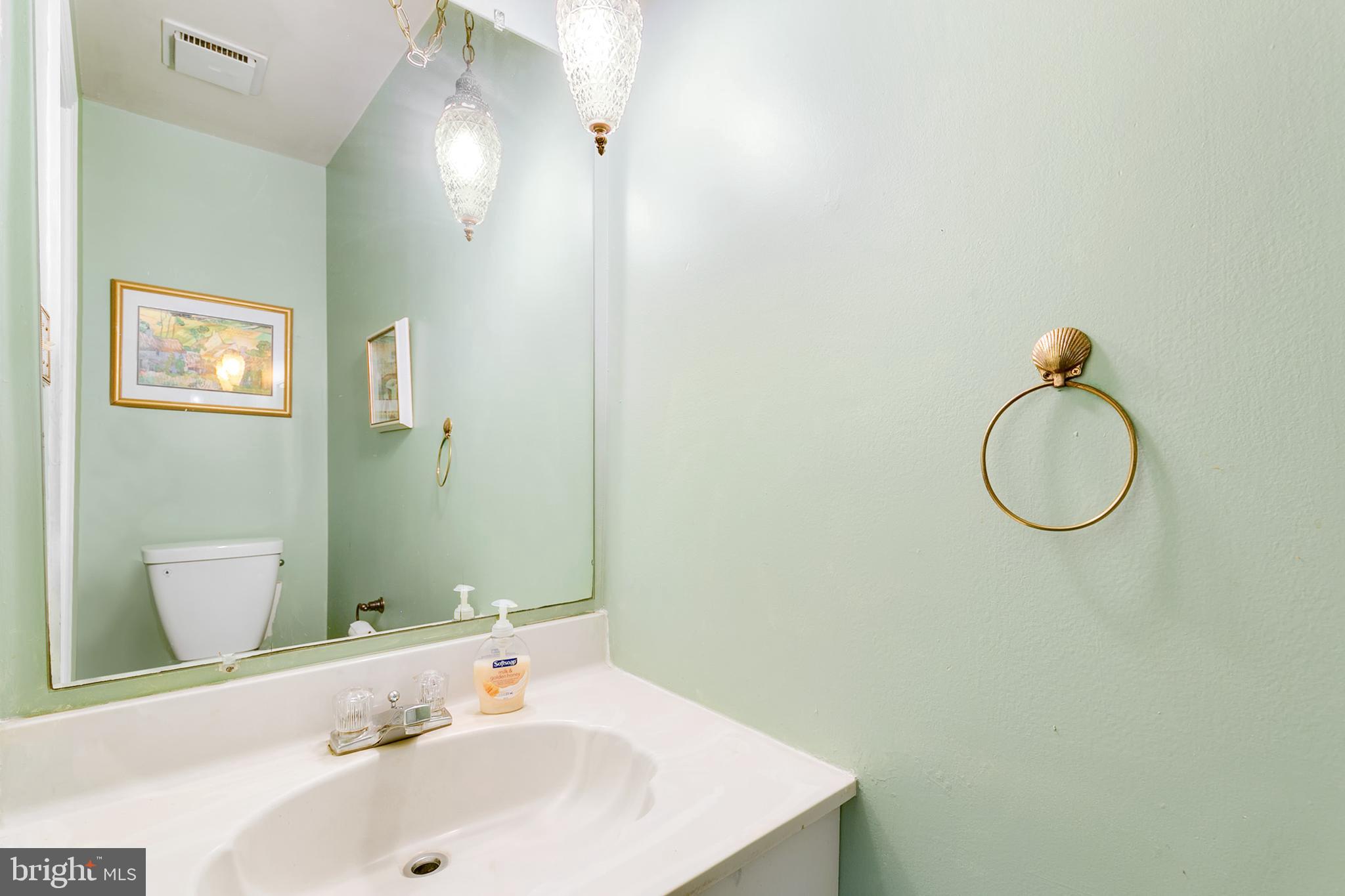 BURKE CENTRE CONSERVANCY - Residential