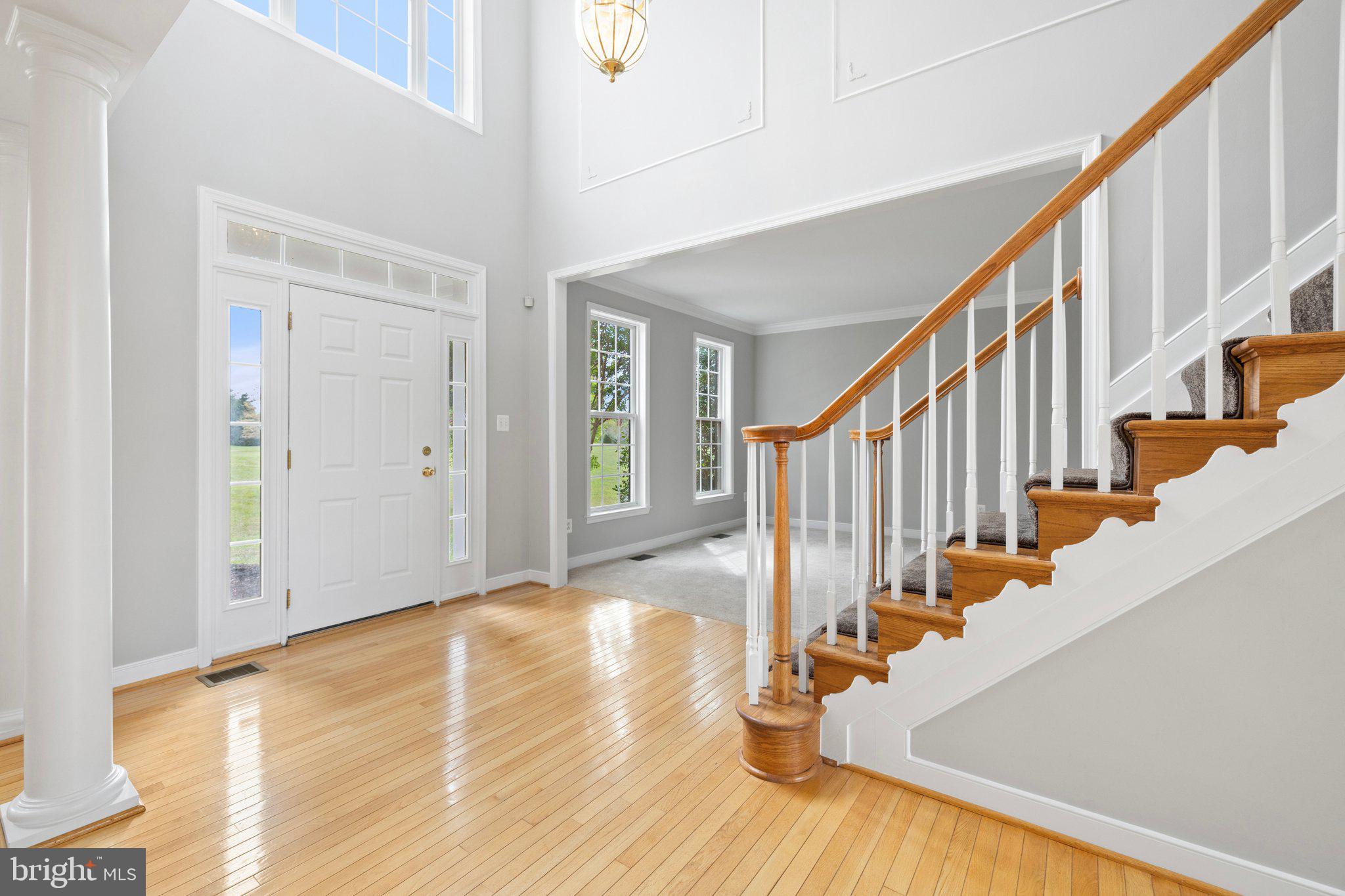 PADDOCKS AT DOWDEN DOWNS - Residential