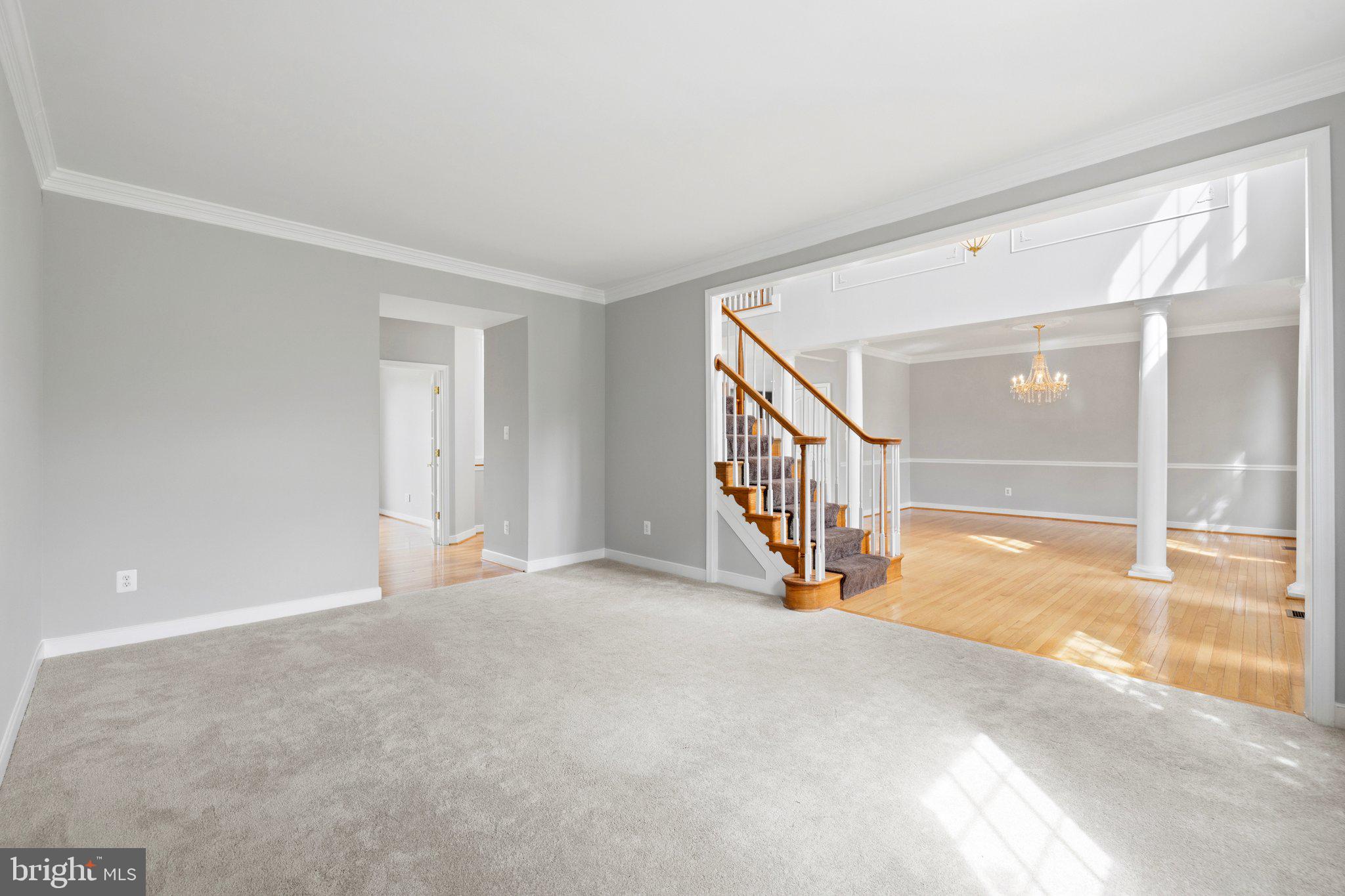 PADDOCKS AT DOWDEN DOWNS - Residential