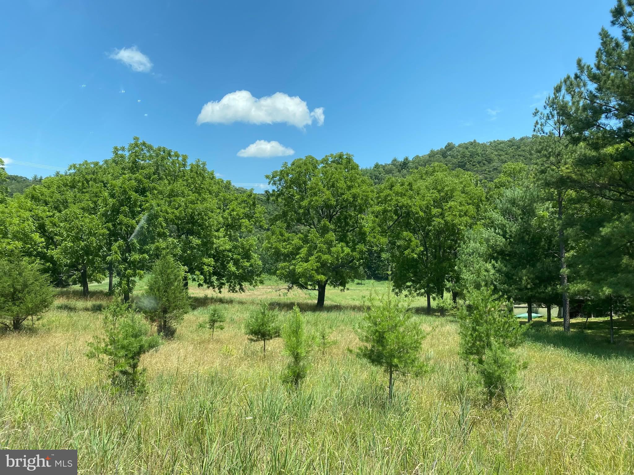 Lot 43 RIVER BEND DRIVE