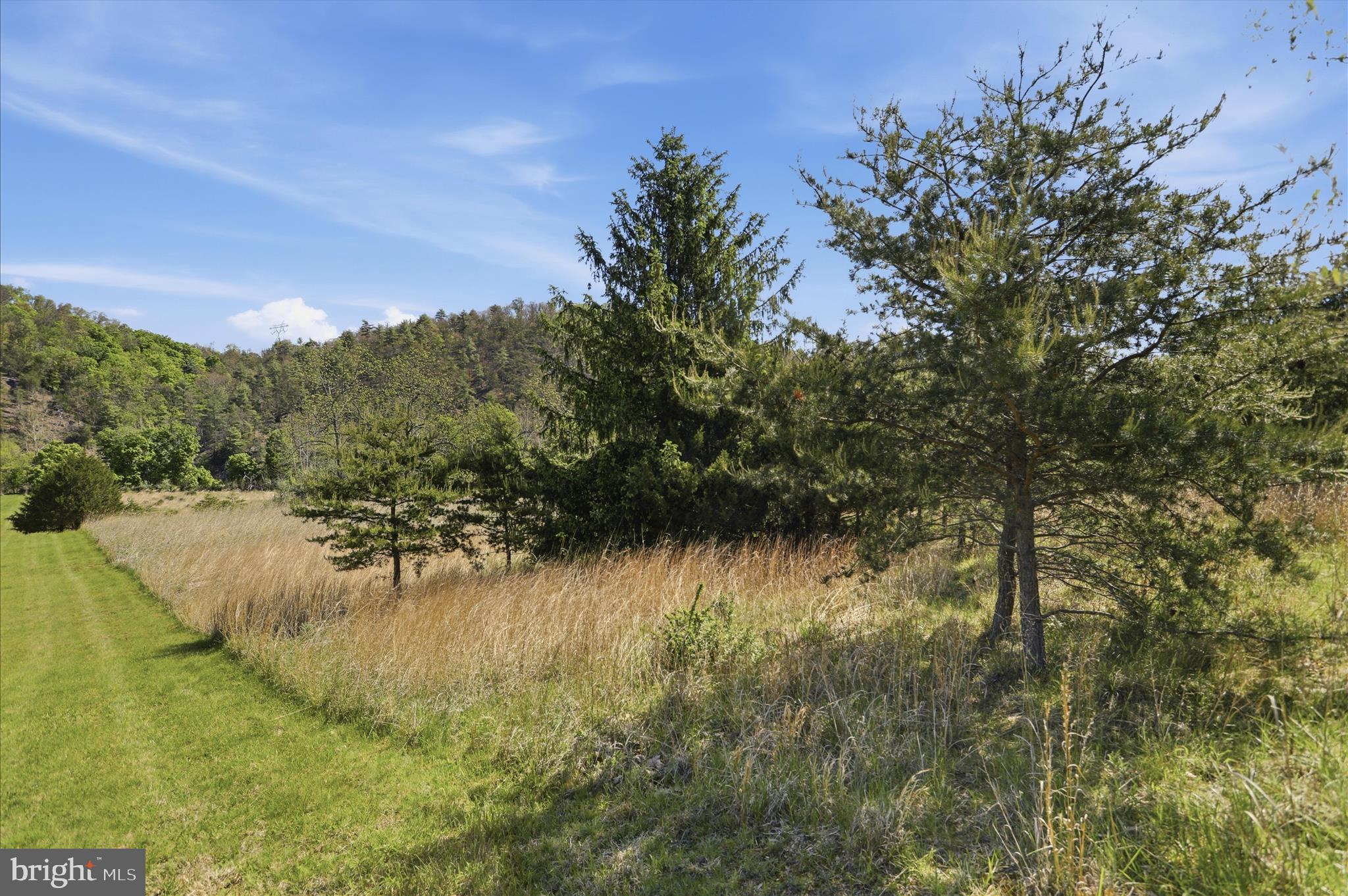 THE CROSSING AT GREAT CACAPON - Land