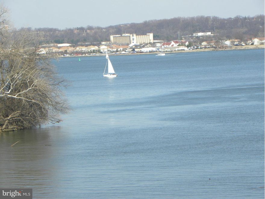 WATERFRONT - WATCH SAIL BOATS & GORGEOUS SUNRISES!  Total renovation in bath and kitchen with new cabinets, granite counter tops, stainless appliances, refinished hardwood floors, huge walk-in closet. Condo fee includes all utilities, fitness center, 24-hr concierge, pool, party room and convenience store. Access to GW bike path.  Last traffic light from Old Town to DC and Reagan National Airport!