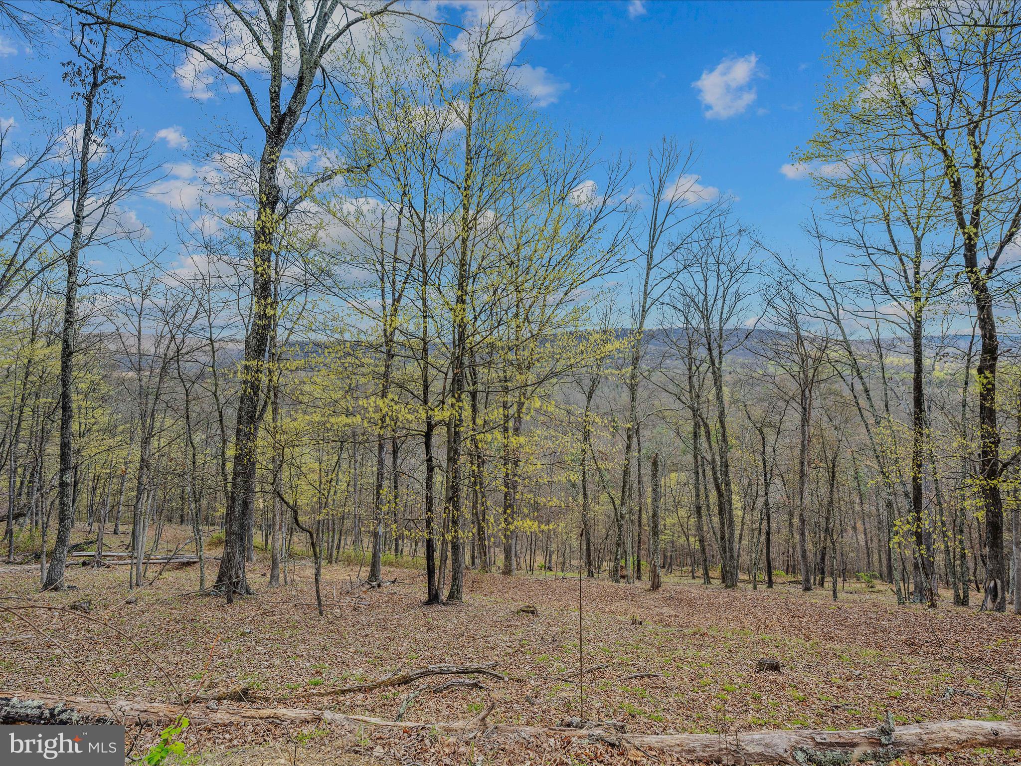 MAGNOLIA BEND - Residential