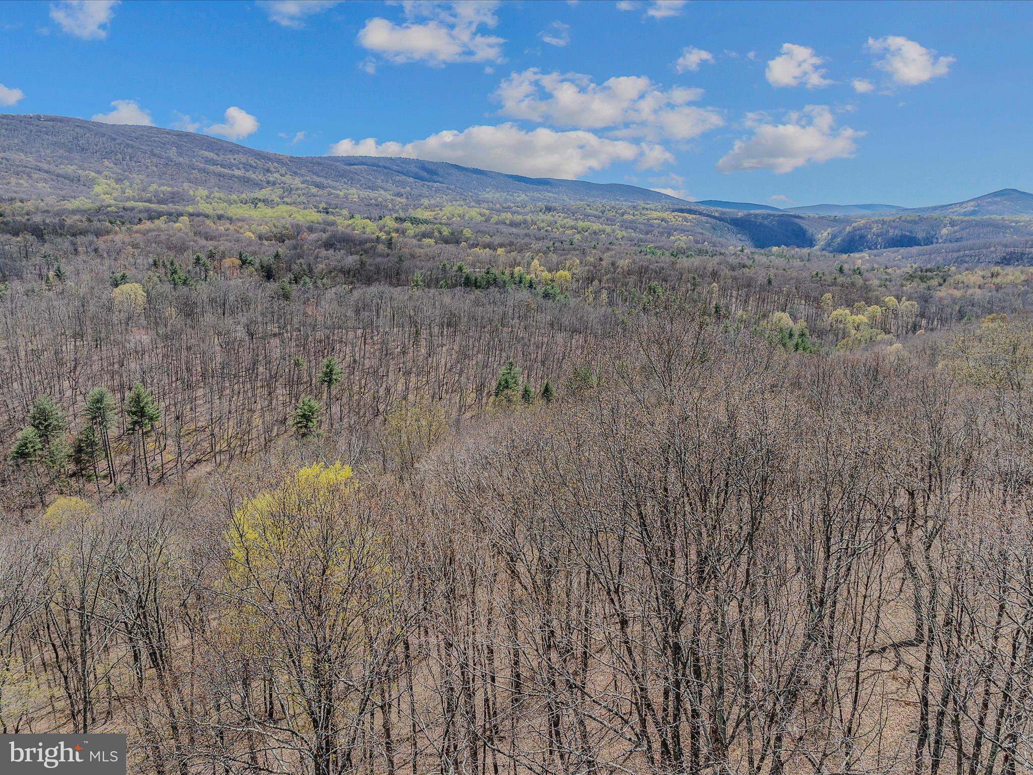 MAGNOLIA BEND - Residential