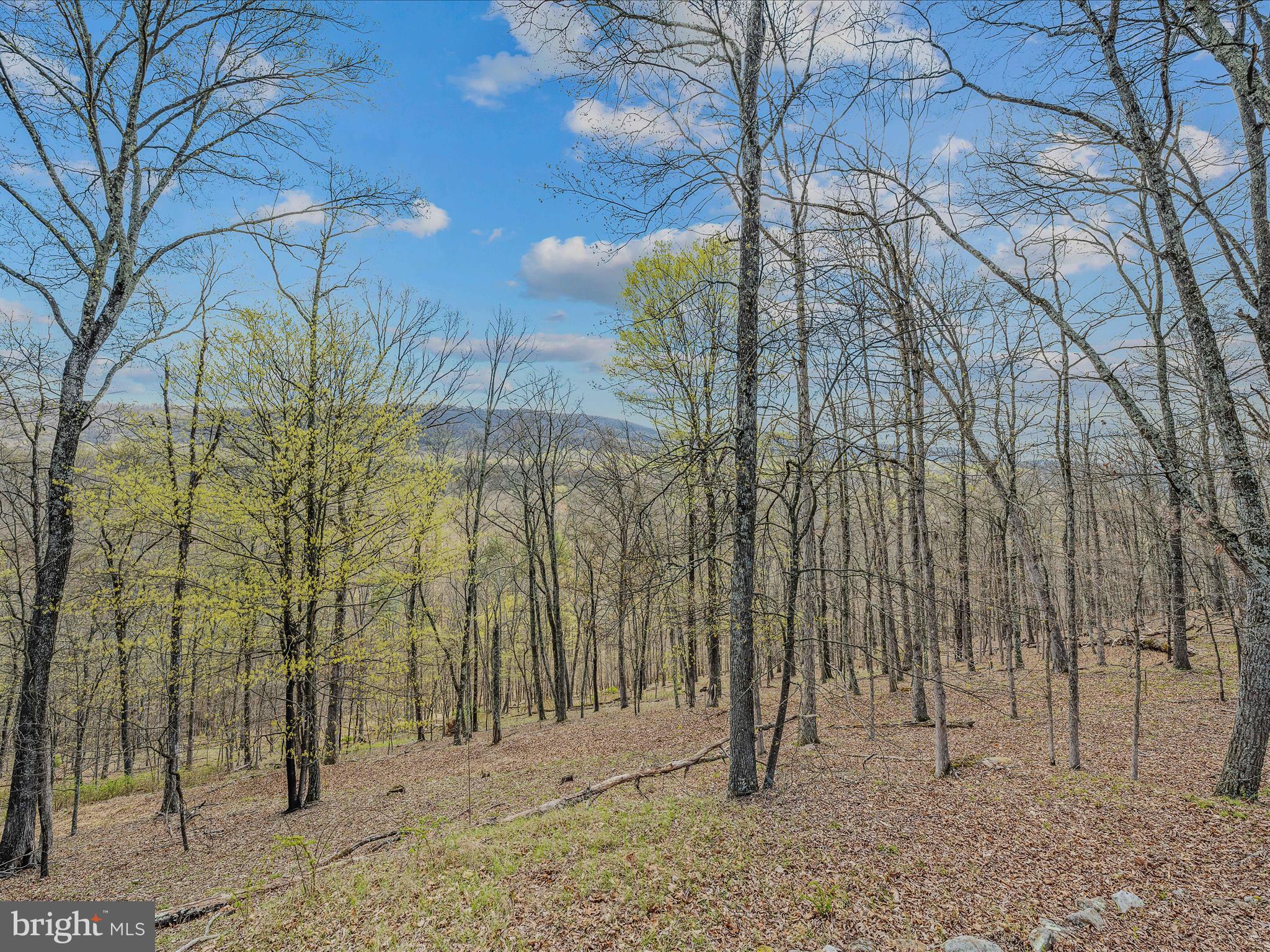 MAGNOLIA BEND - Residential