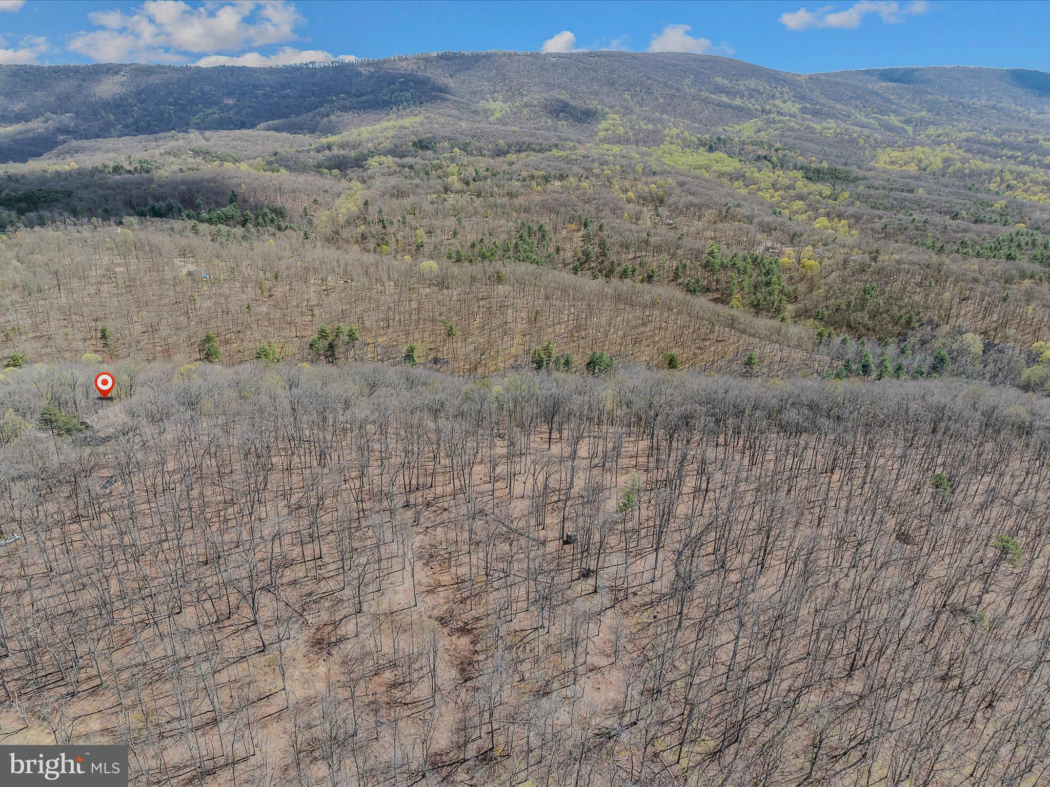 MAGNOLIA BEND - Residential