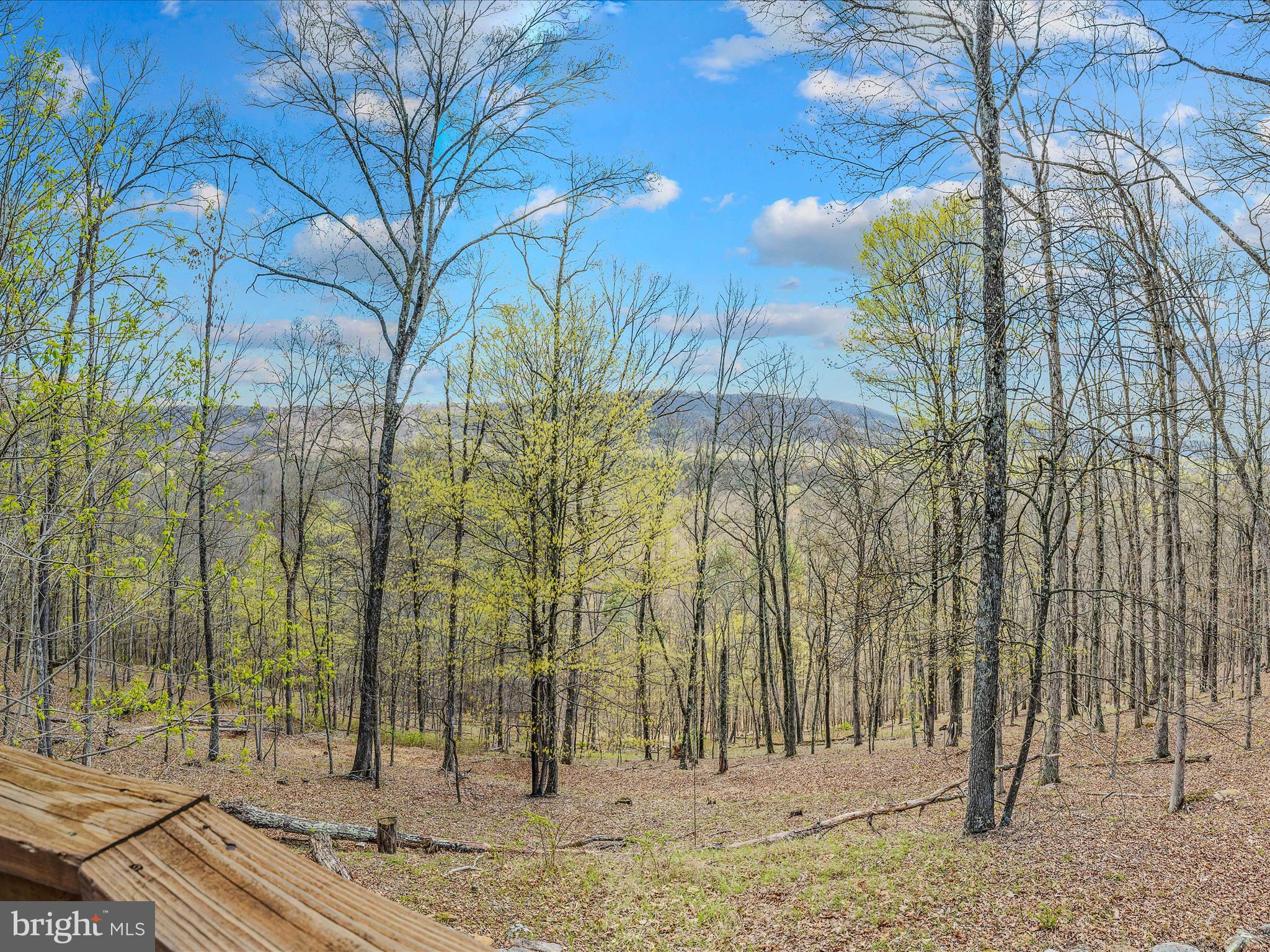 MAGNOLIA BEND - Residential