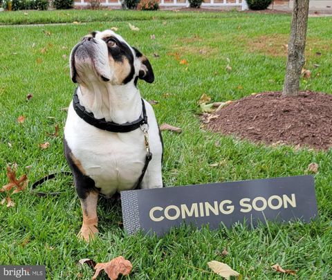 206 WATER FOUNTAIN COURT 103 GLEN BURNIE MD 21060