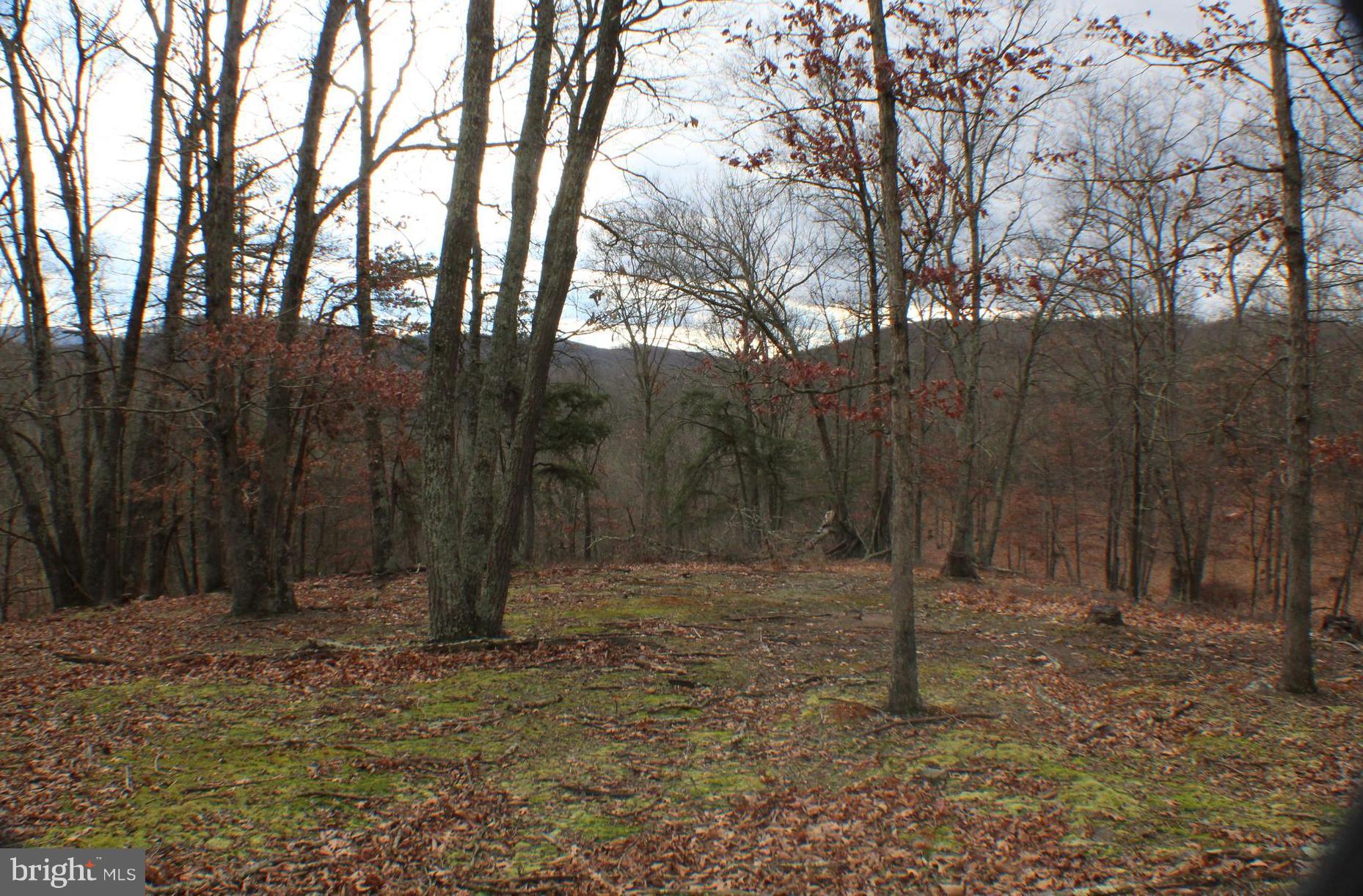 16+ acs with easy access from Rt 48. VIEWS, Seclusion & excellent HUNTING reported. Mixture of Woods and Clearings.Lots can be purchased separately. See Listing HD10123622 & HD10119925