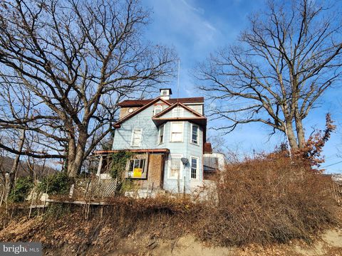 123 JAMESSON AVENUE WESTERNPORT MD 21562