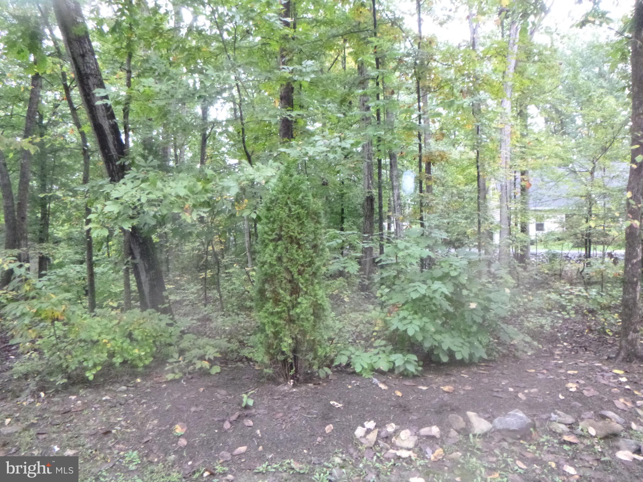 LAKE OF THE WOODS - Land