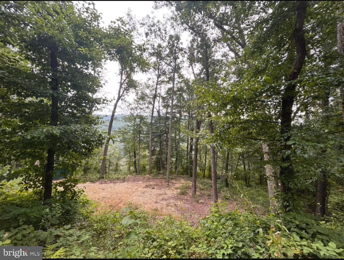 RITTERS HIDDEN VALLEY - Residential