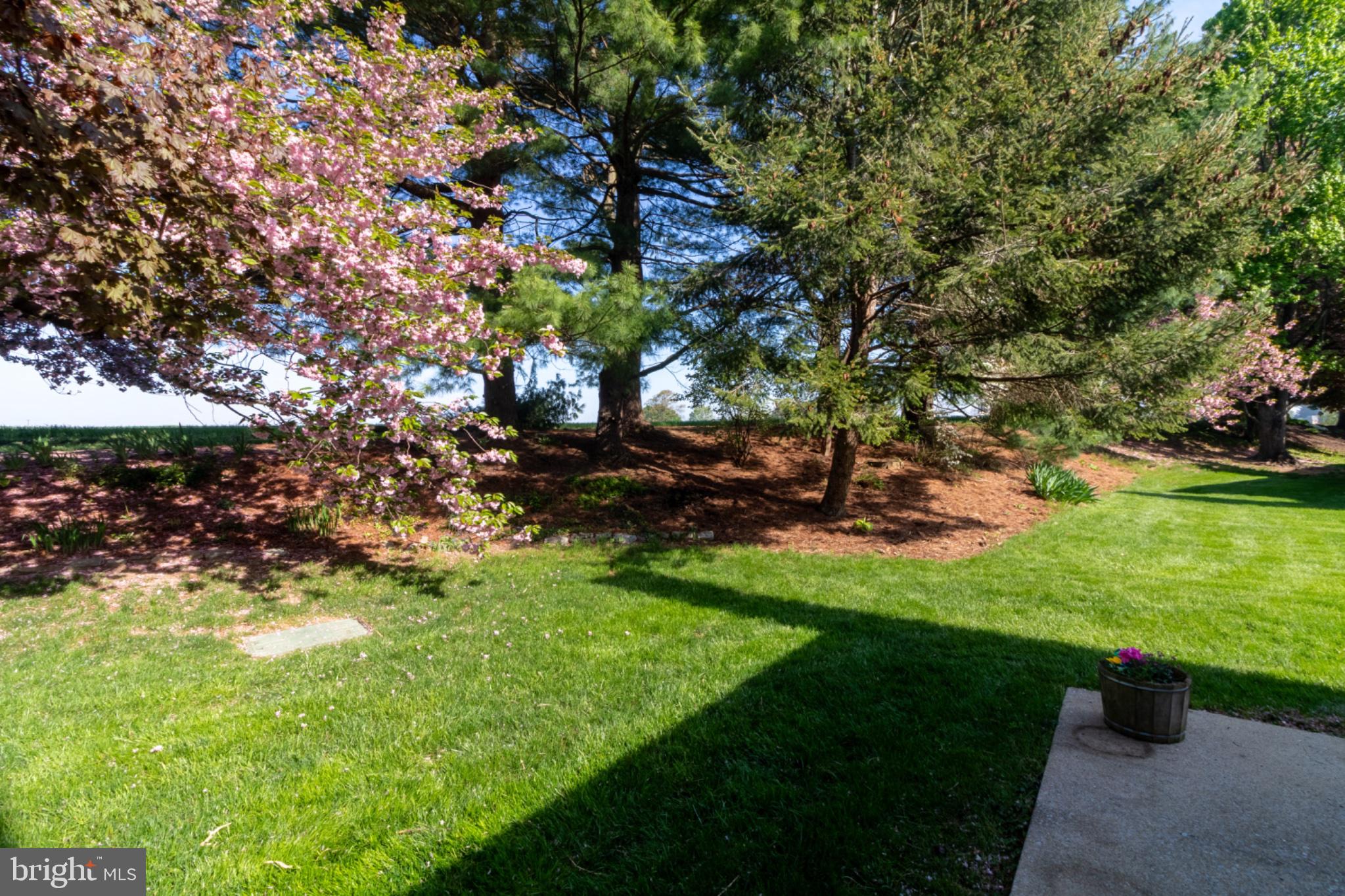 ROCKLEDGE - Residential