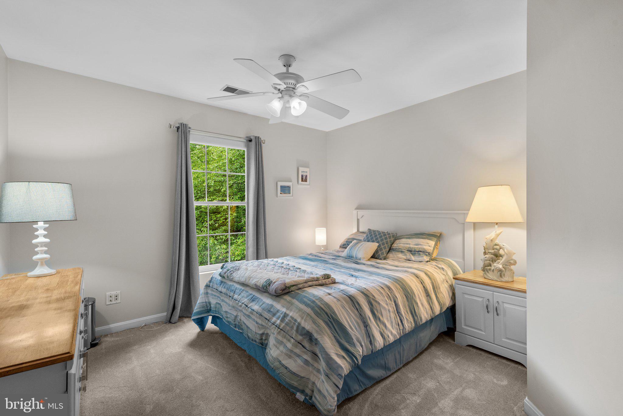 WOODS AT RIDGEVIEW - Residential