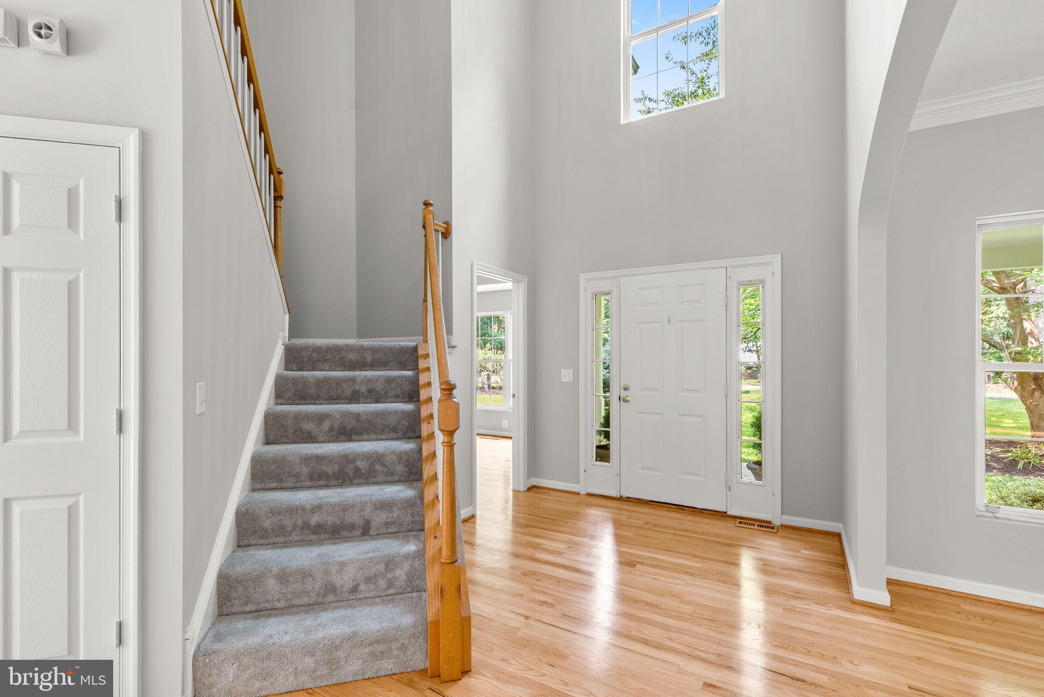 WOODS AT RIDGEVIEW - Residential