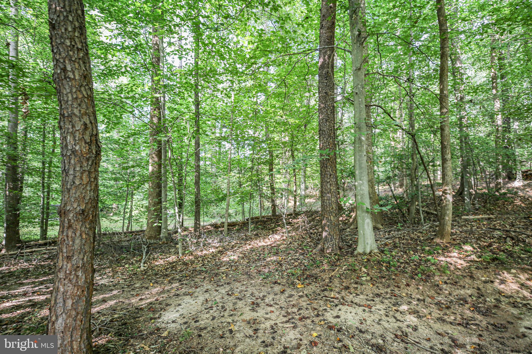 STUARTS CROSSING - Residential