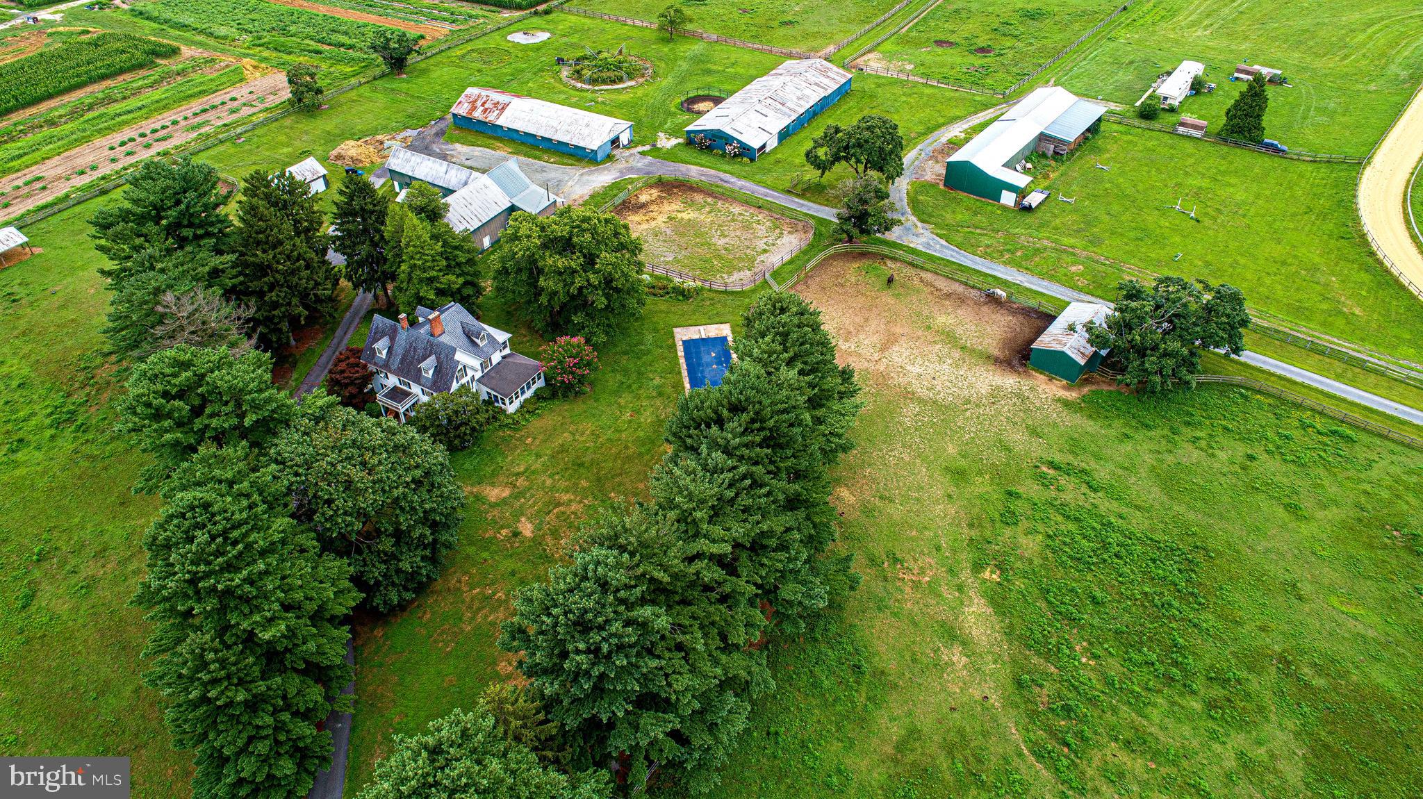 NONE AVAILABLE - Farm