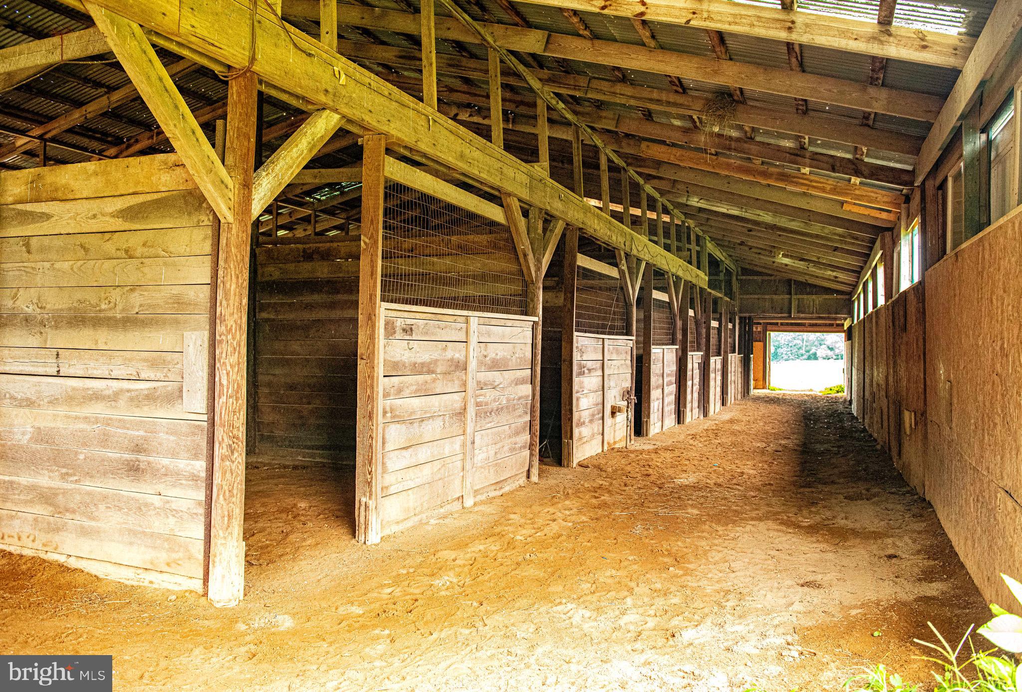 NONE AVAILABLE - Farm