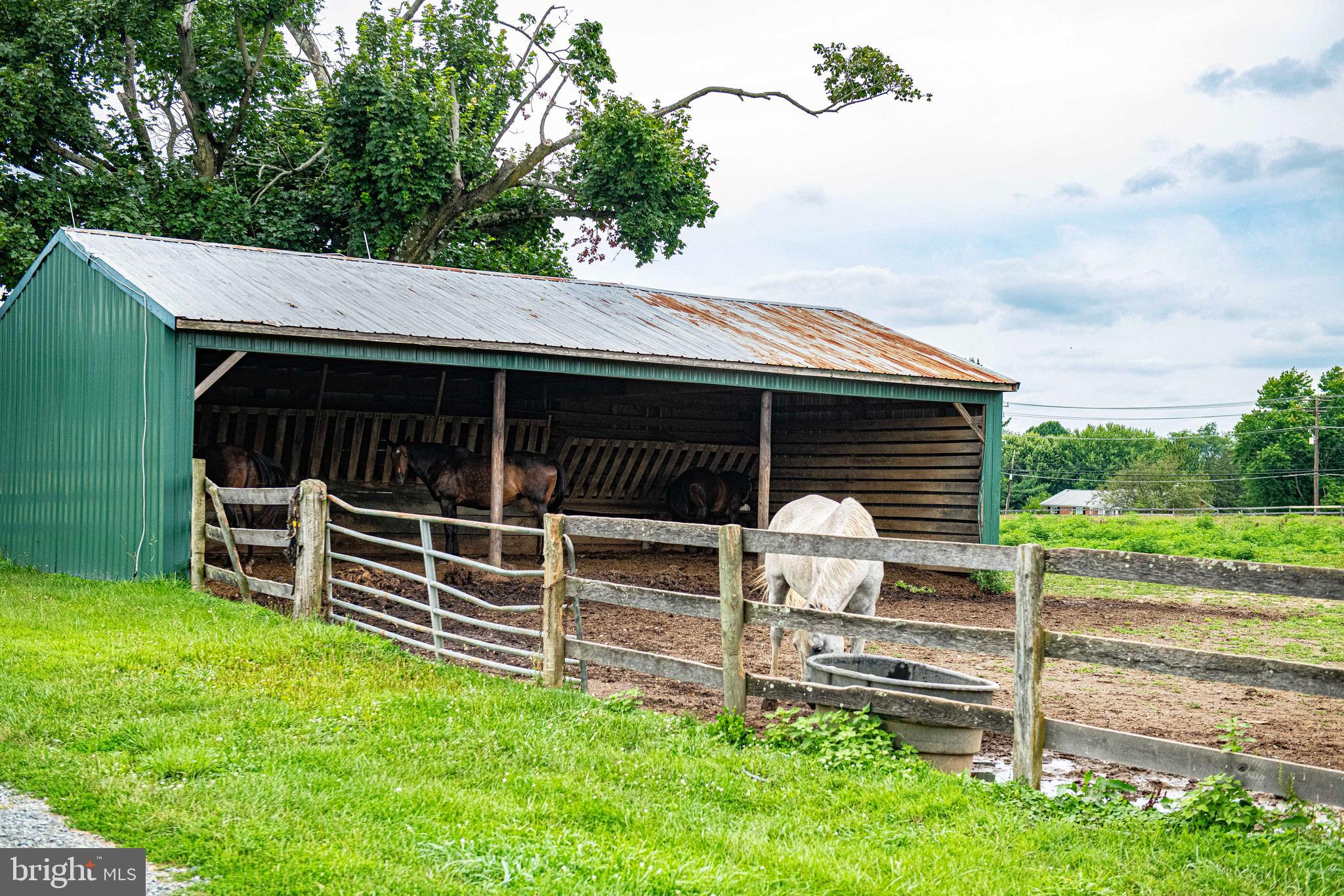 NONE AVAILABLE - Farm