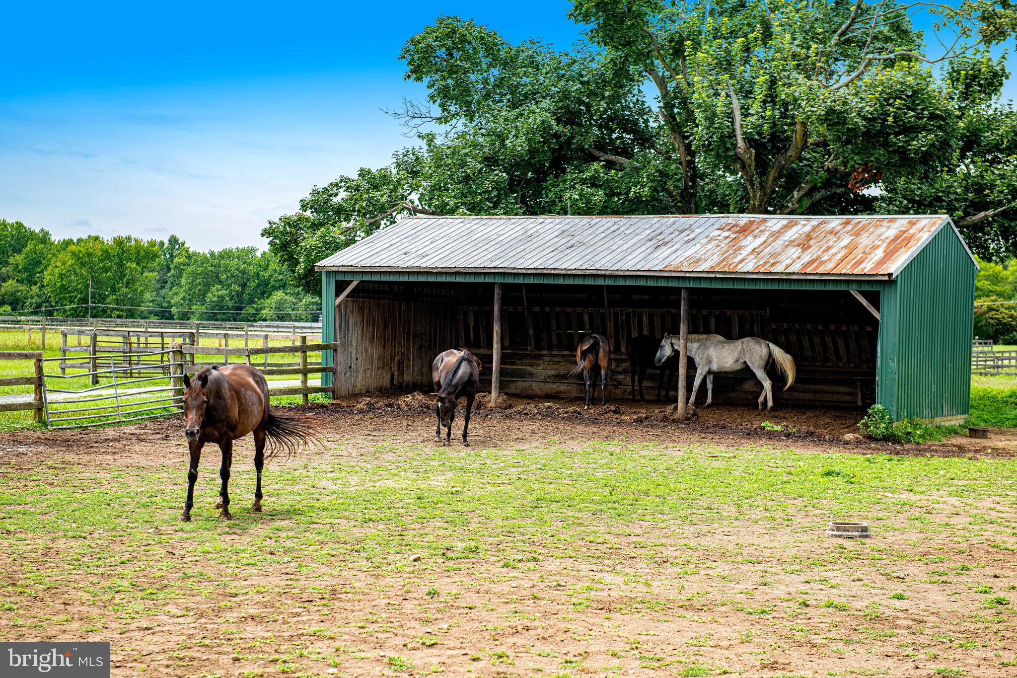 NONE AVAILABLE - Farm