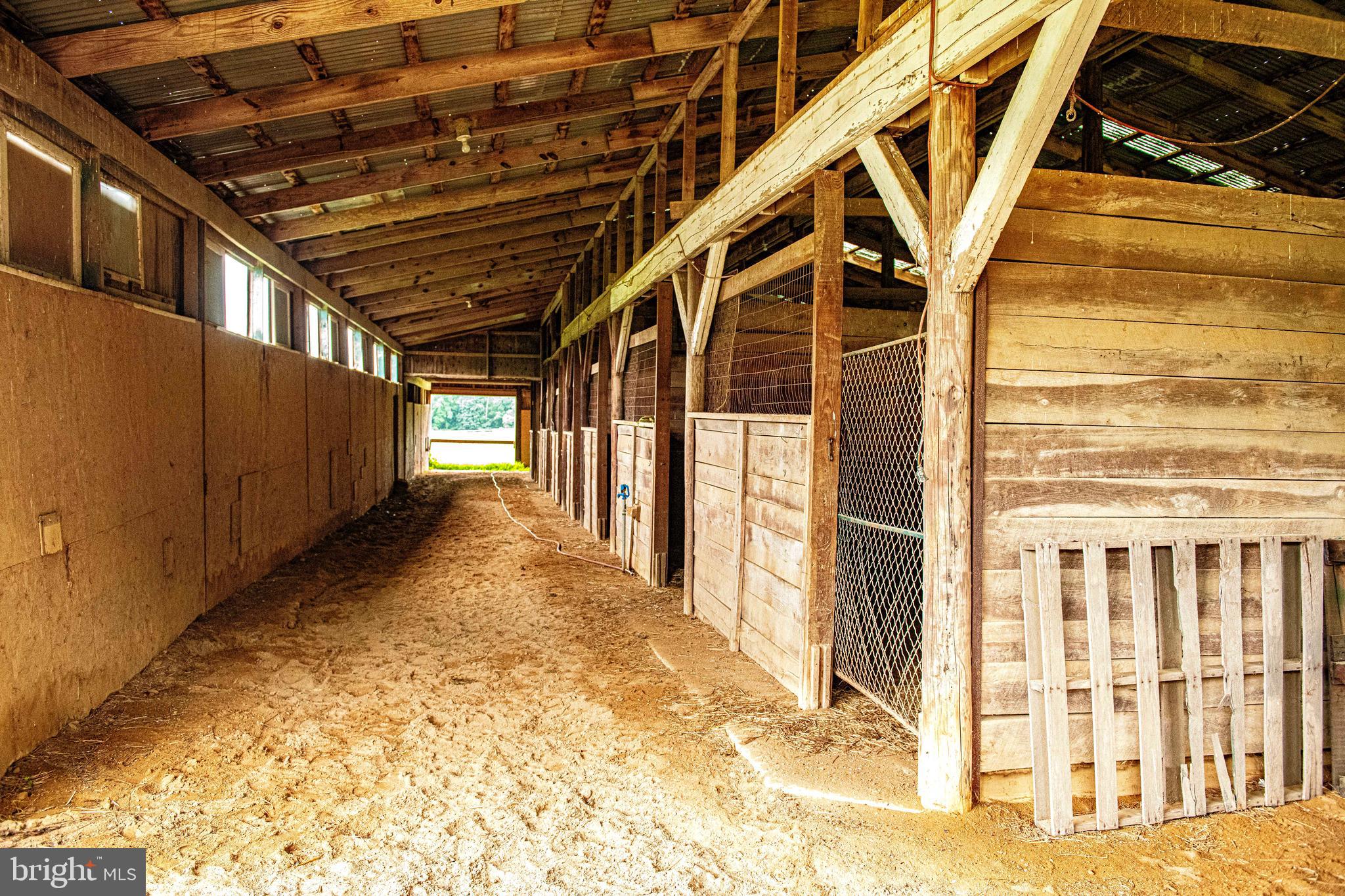 NONE AVAILABLE - Farm