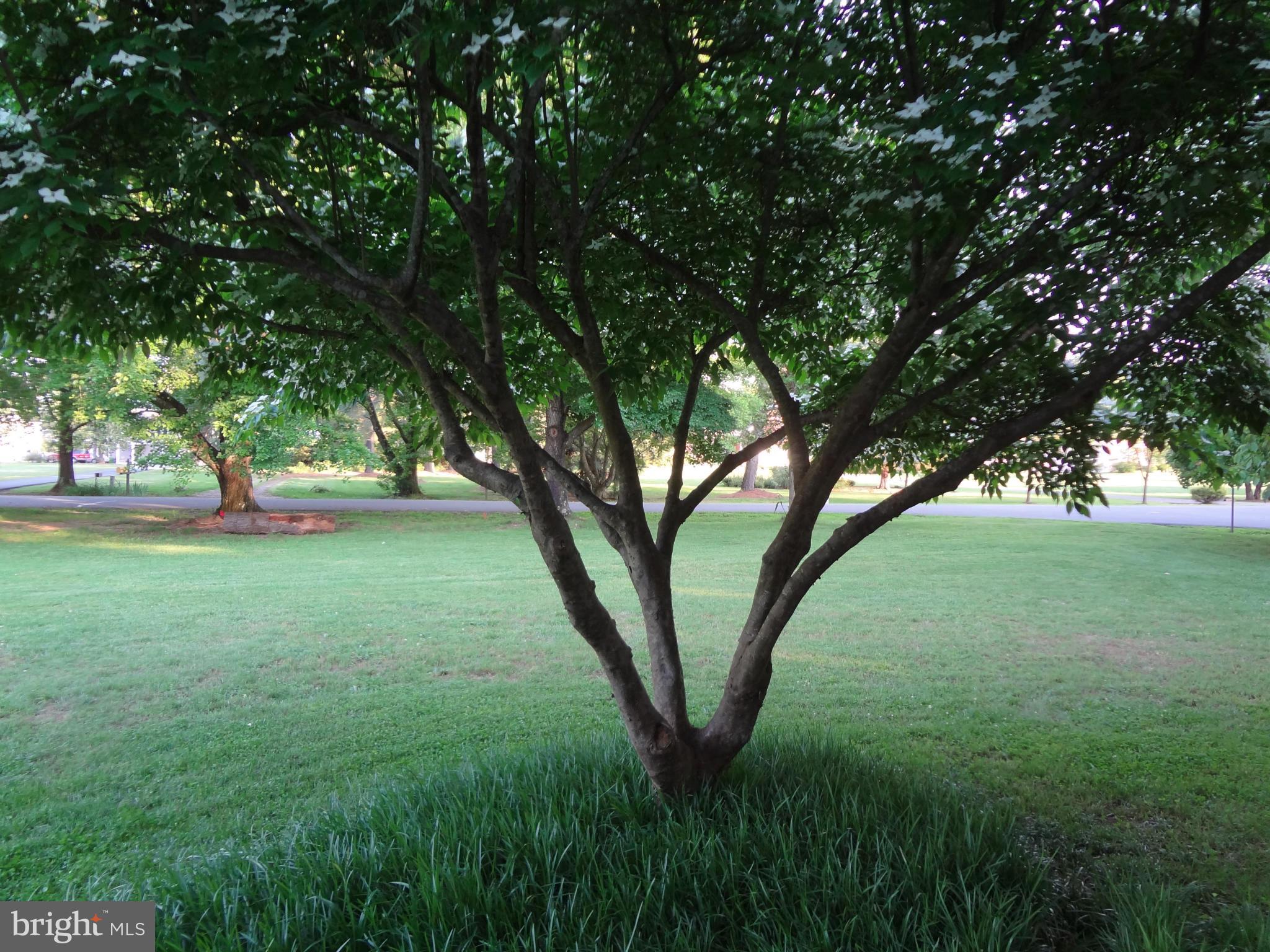 RIVER BEND - Residential